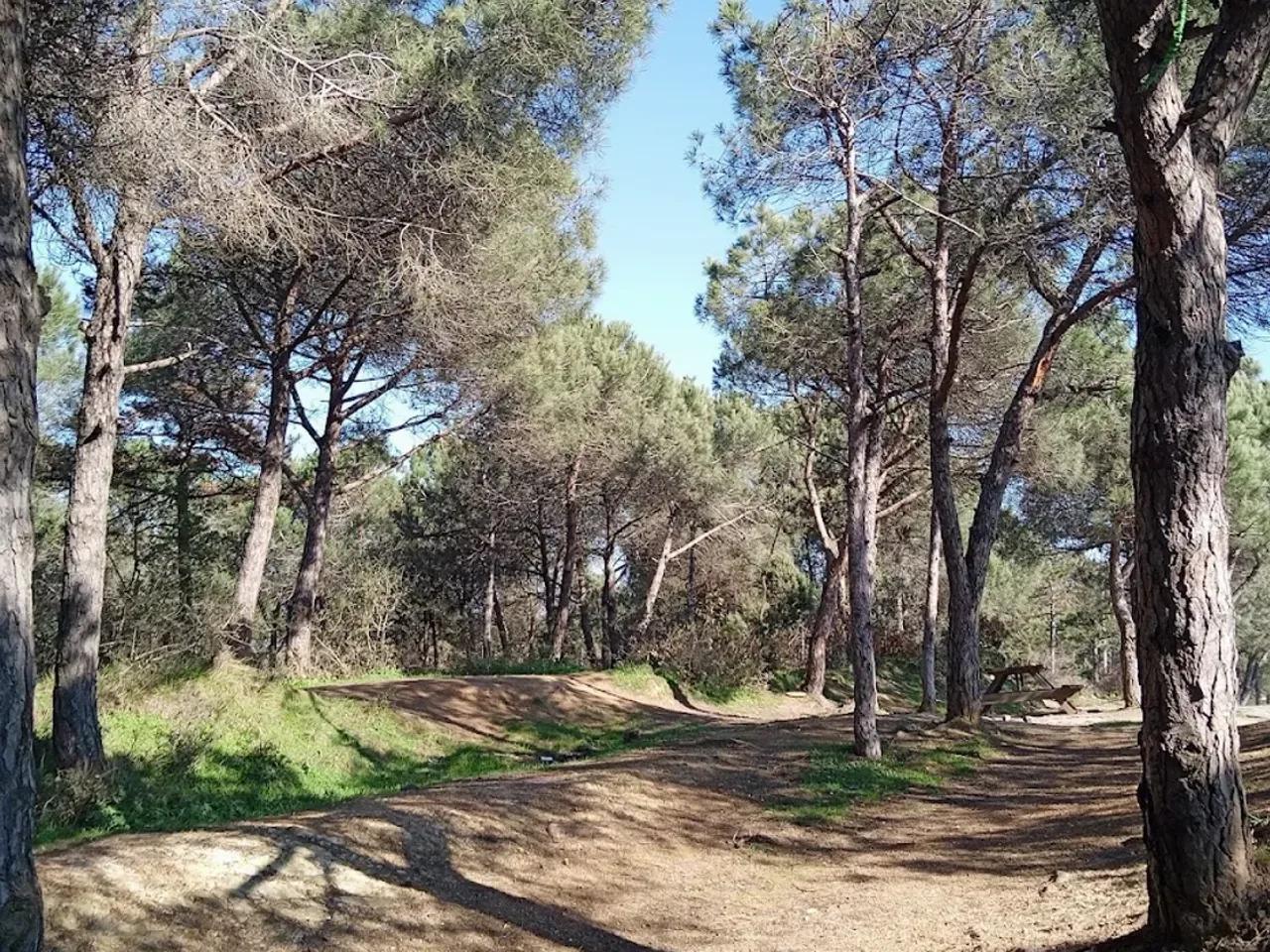 Şamlar Tabiat Parkı