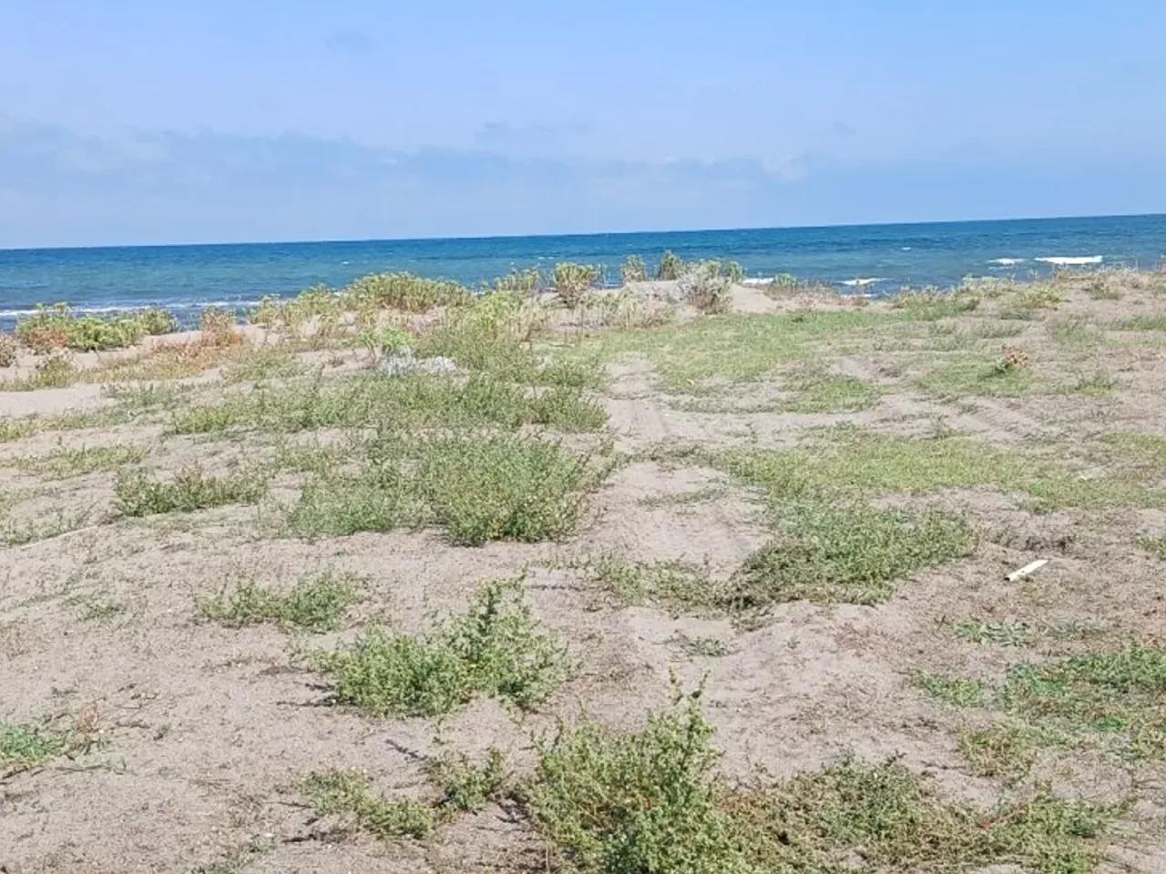 Sancaklı, - 1