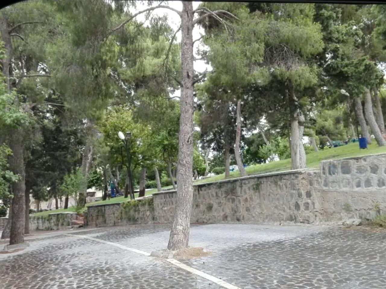 Şanlıurfa  Merkez,72 Tılfındır Sokak - 1