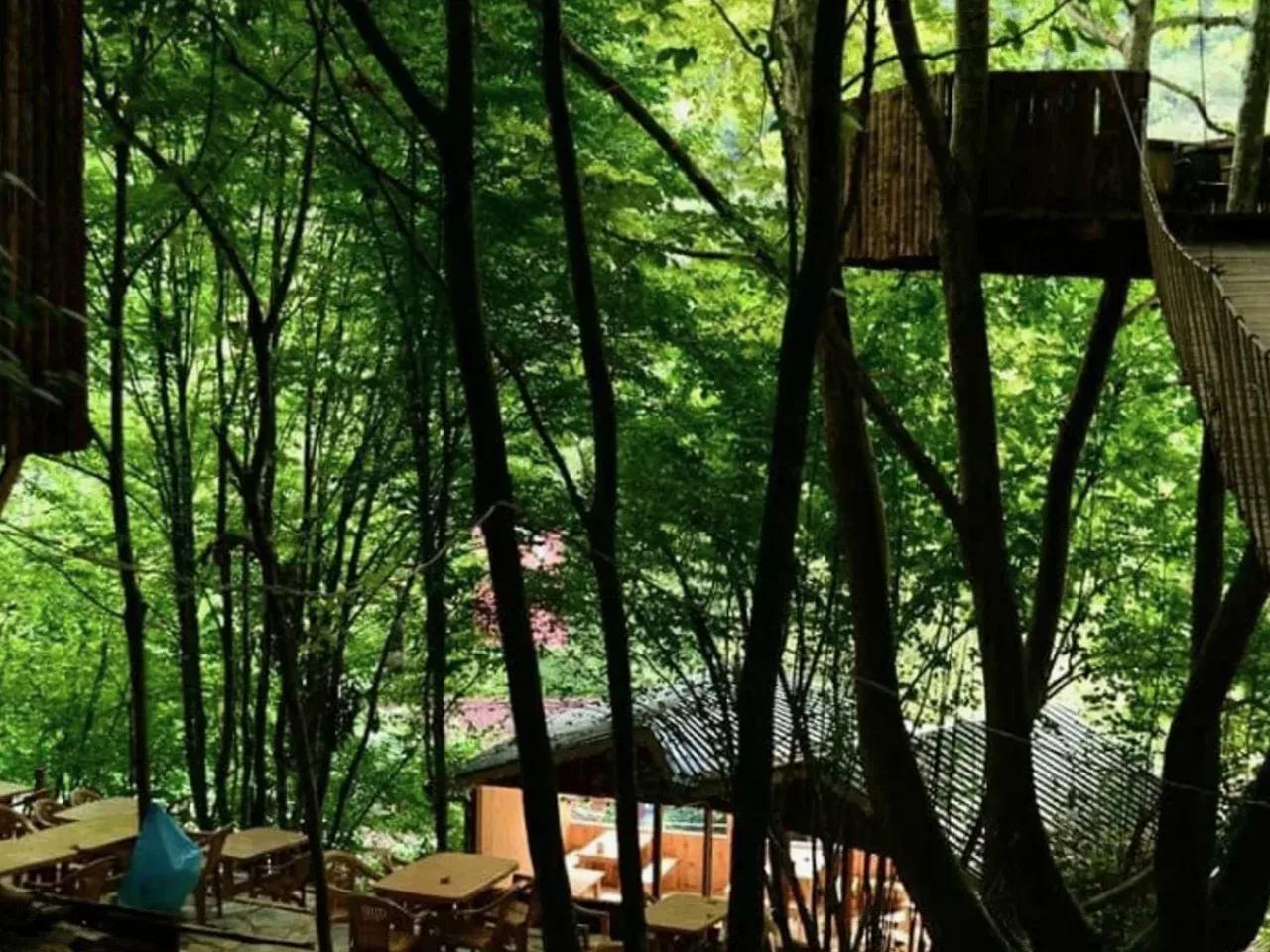 Sansarak Kanyonu Kamp Alanı