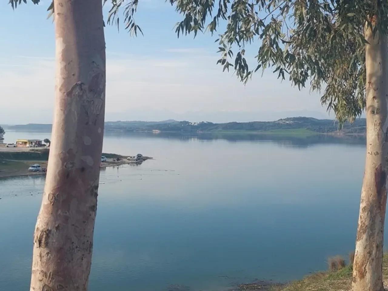 Saricam/Adana - 1