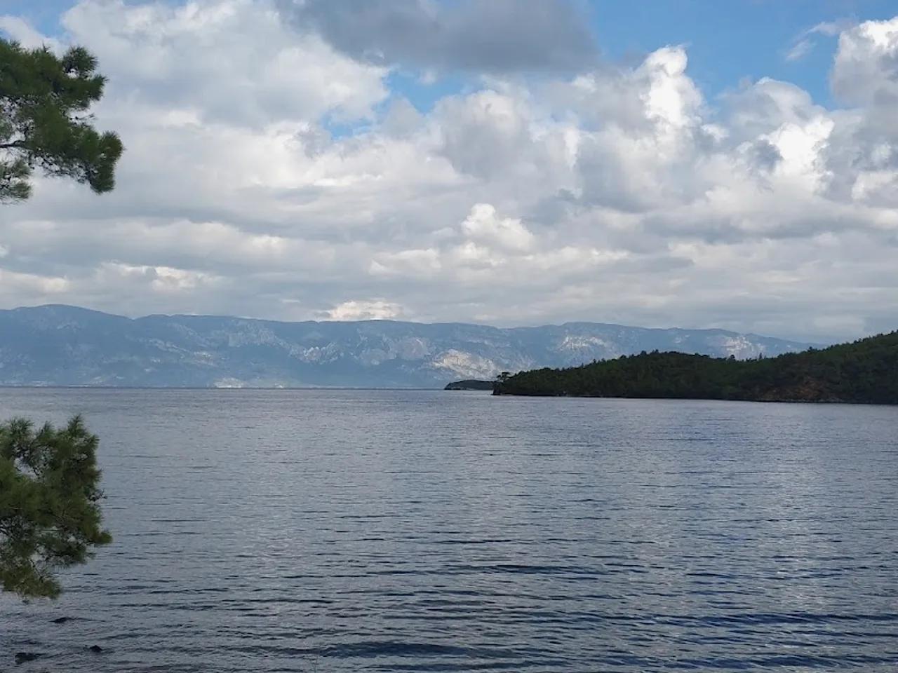 Sarıdana Koyu - 1