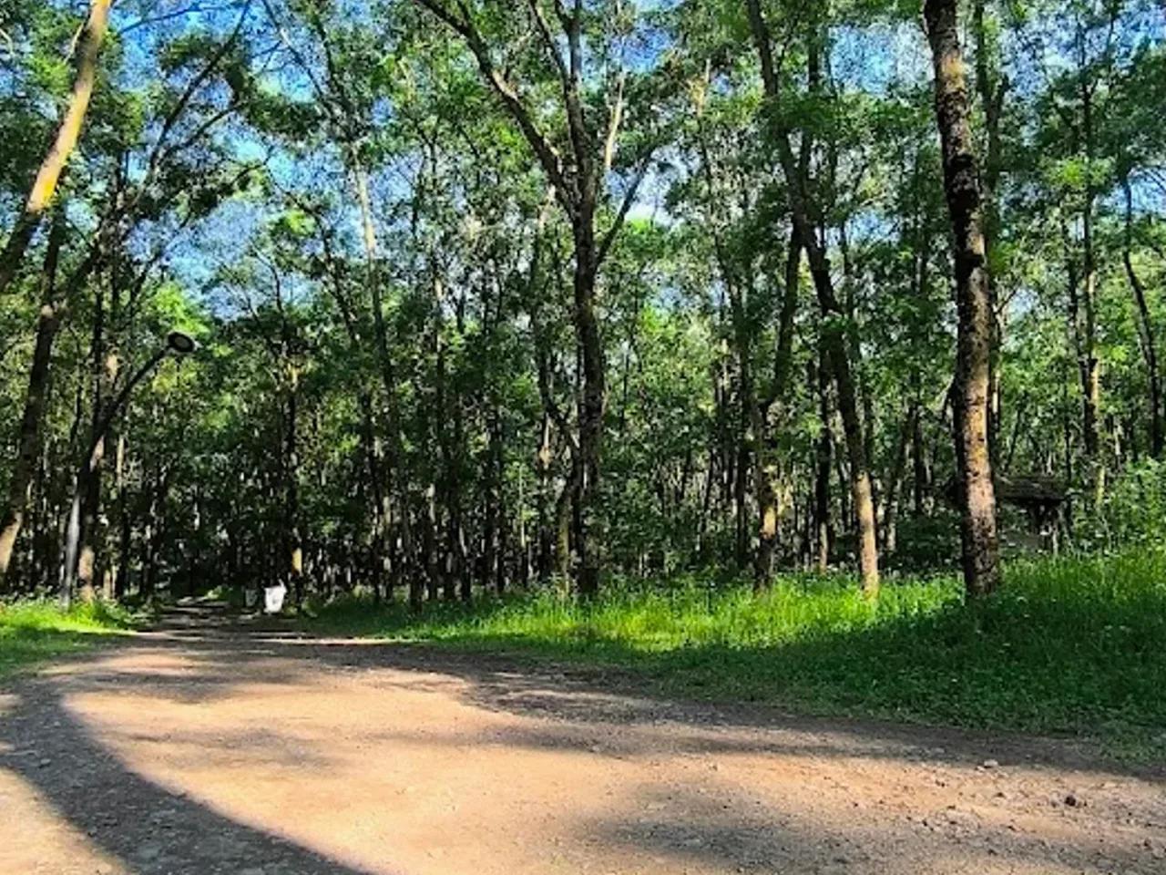 Sarıgazel Tabiat Parkı - 2