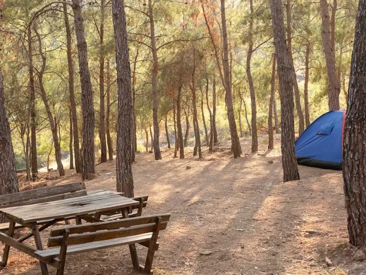 Sarımsaklı Tabiat Parkı - 4
