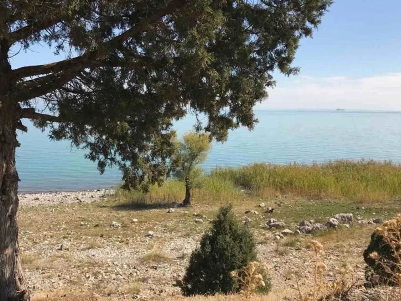 Şarkikaraağaç Yenişarbademli Yolu - 2