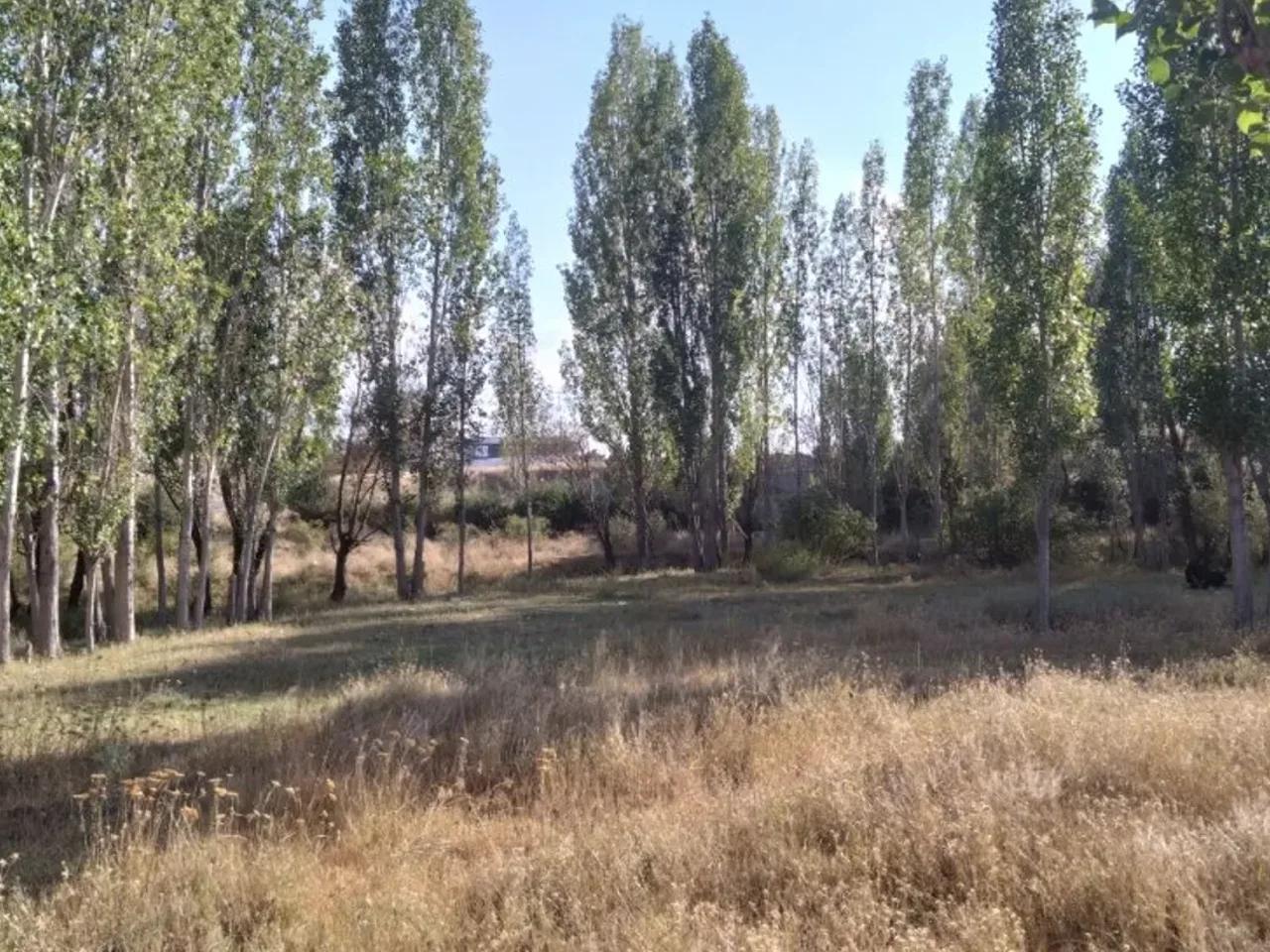 Şarkışla - 2