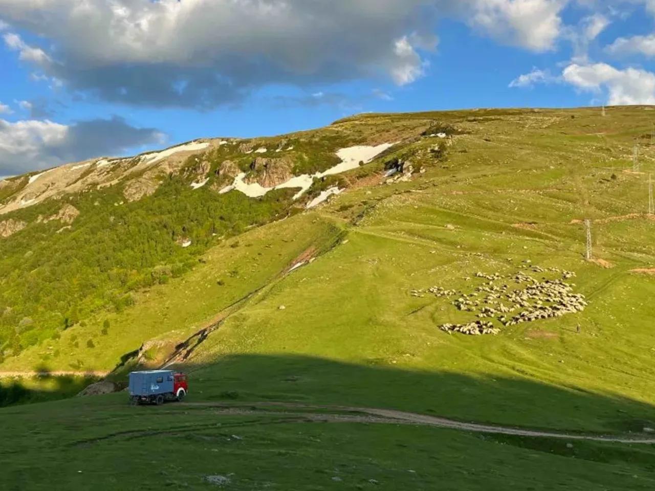 Şavşat, - 2