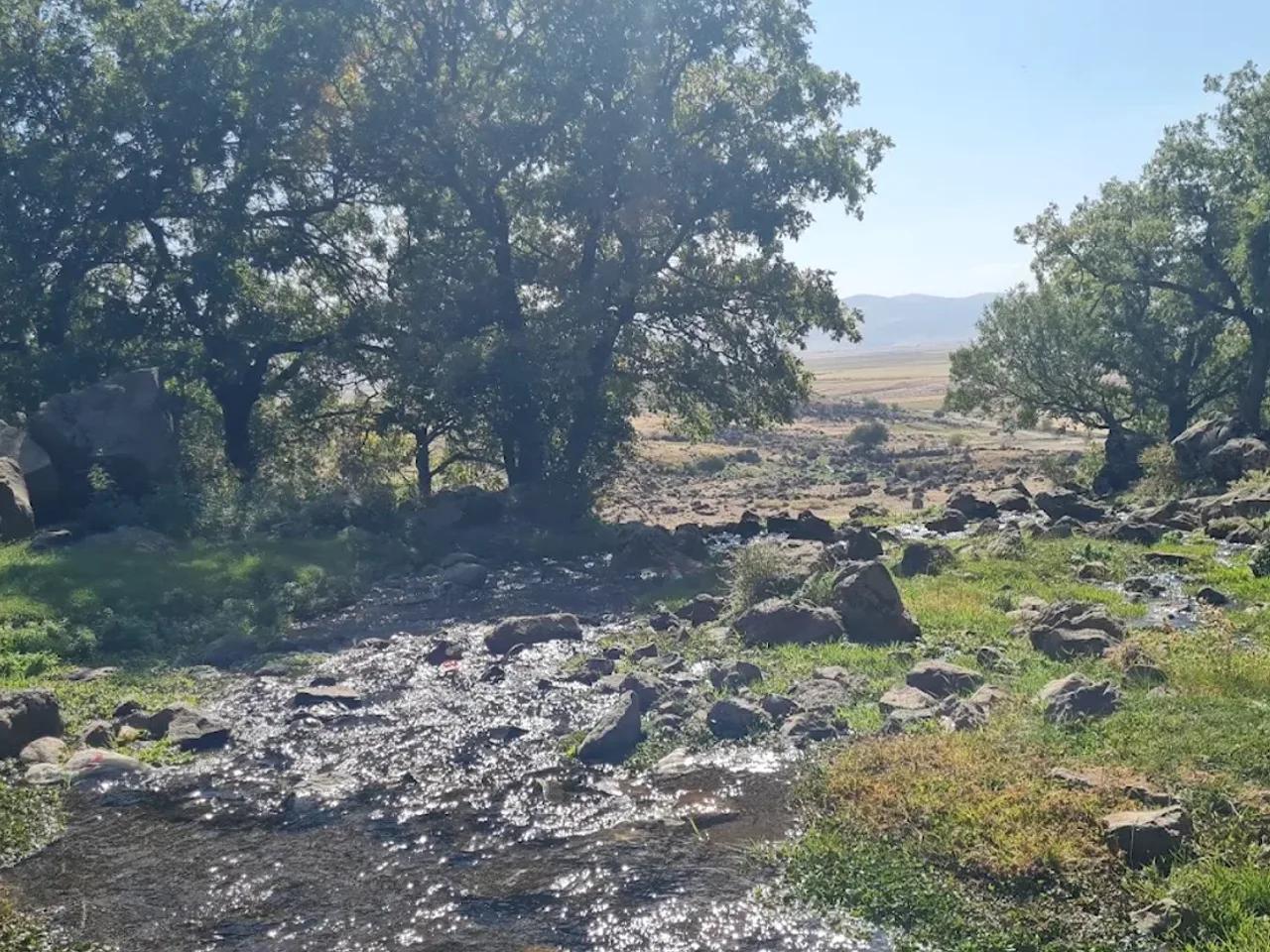 Sazlıkbaşı Tabiat Parkı