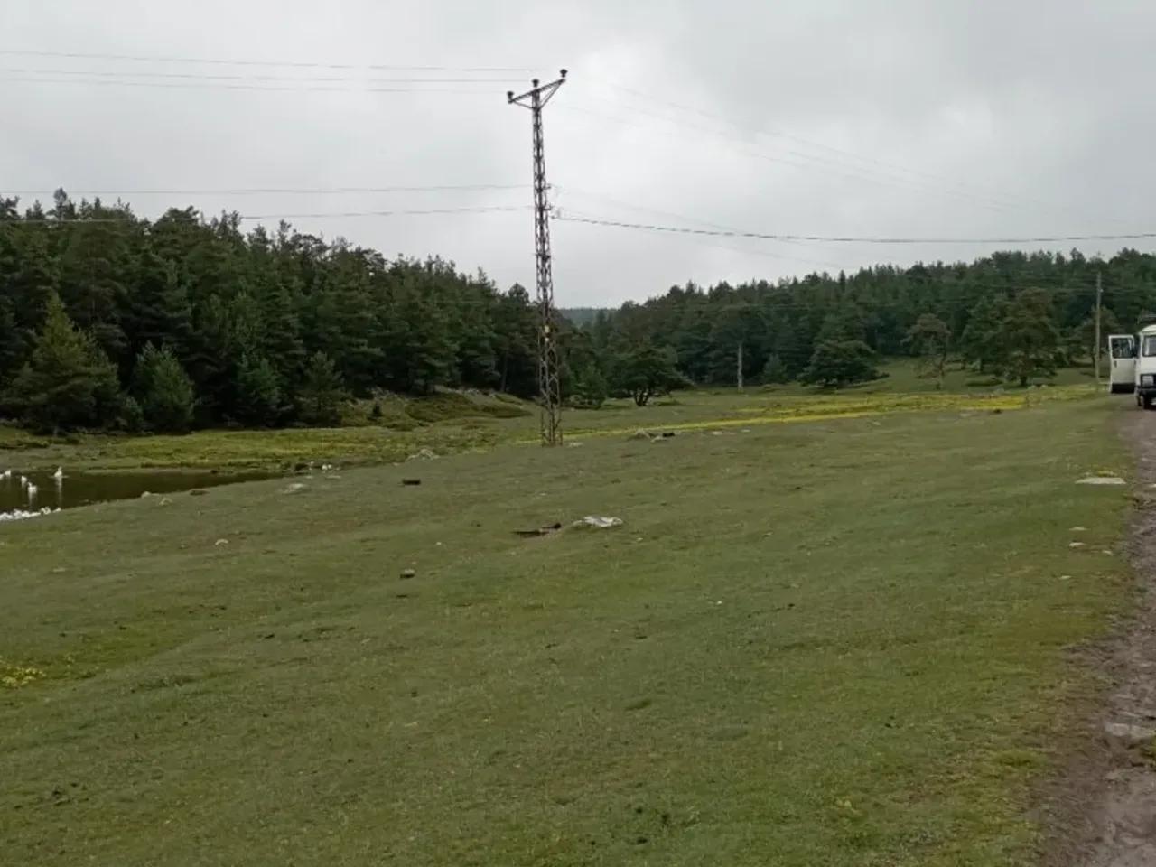 Sebenardı - 1