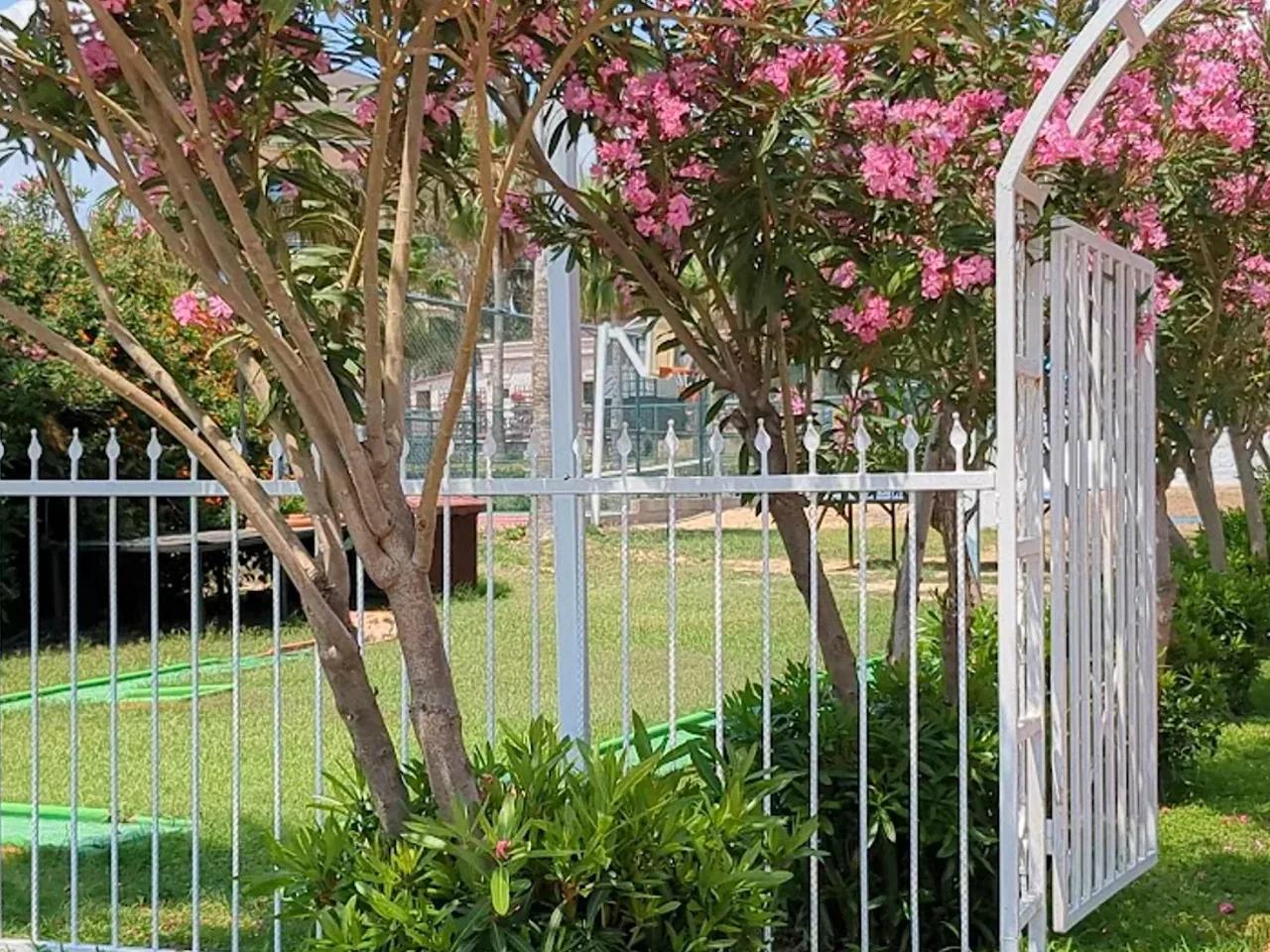 Seher Kumköy Star Resort&Spa - 2