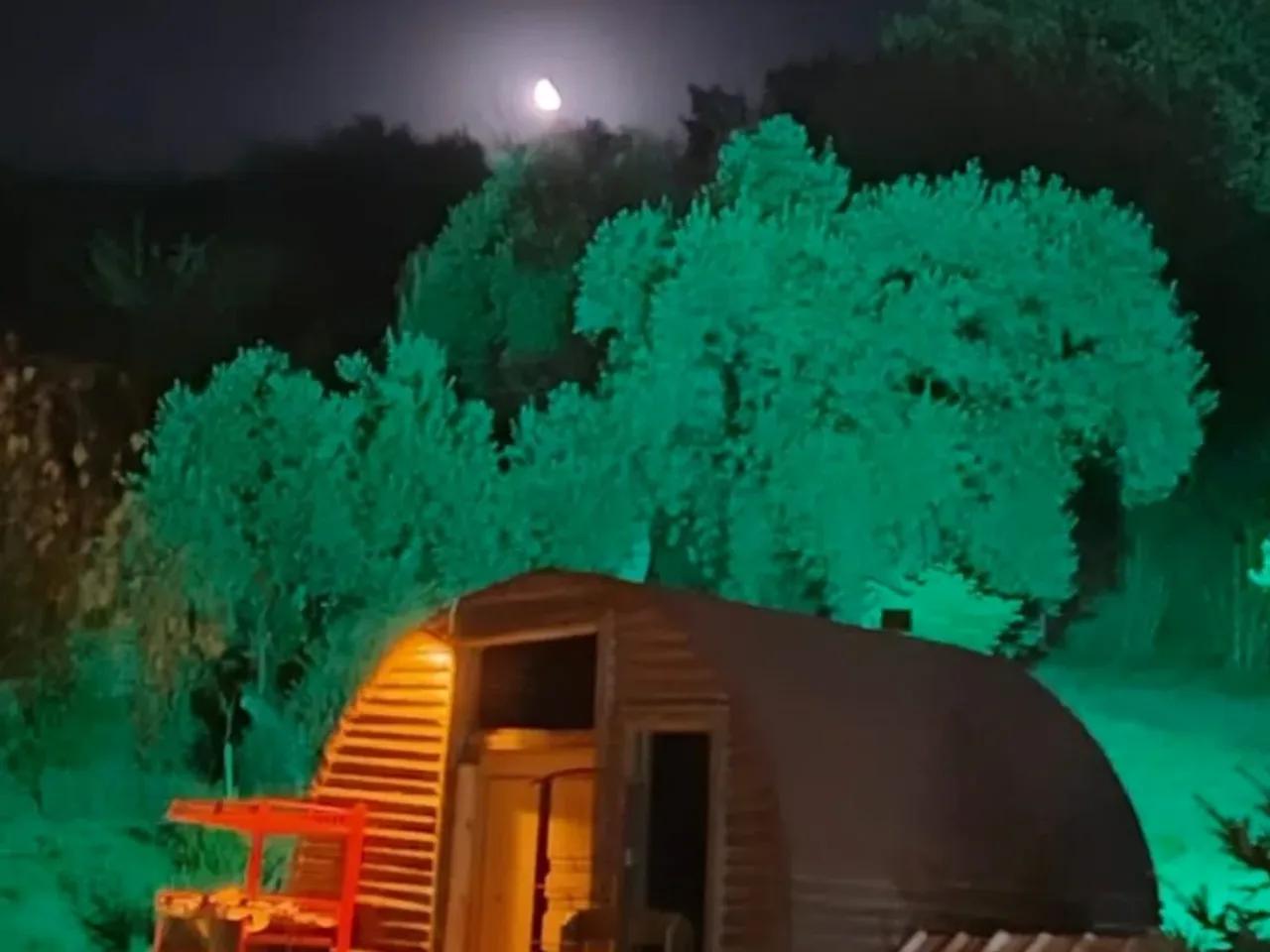 Selçuk,29 219. Sokak - 2