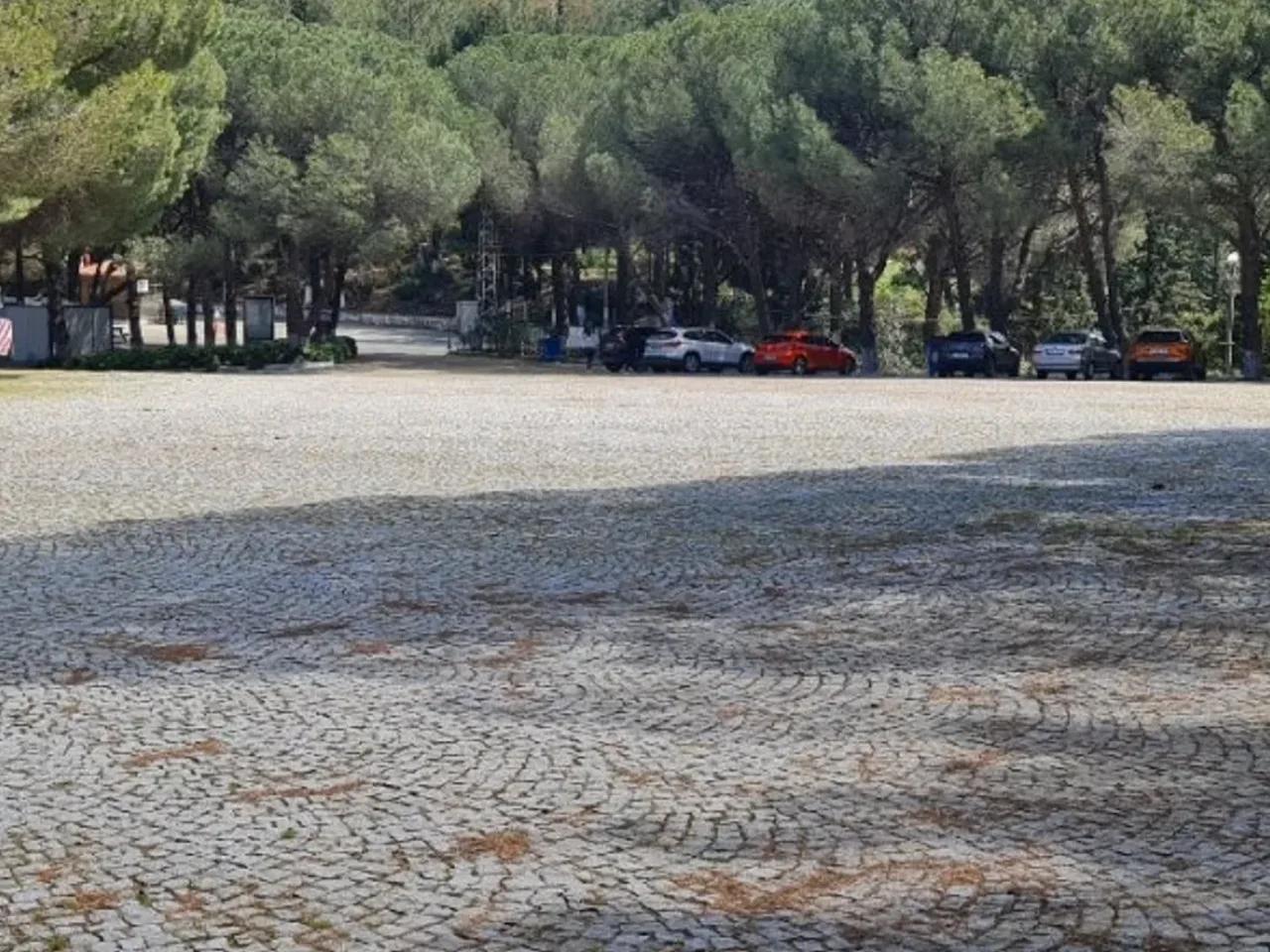 Selçuk,294 Meryem Ana Yolu - 2