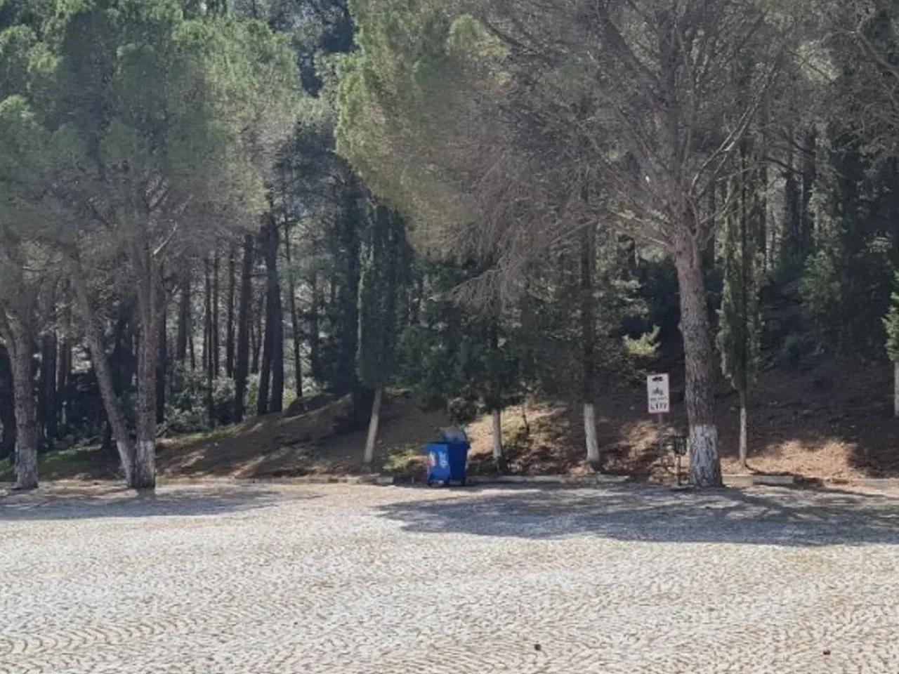 Selçuk,294 Meryem Ana Yolu - 3