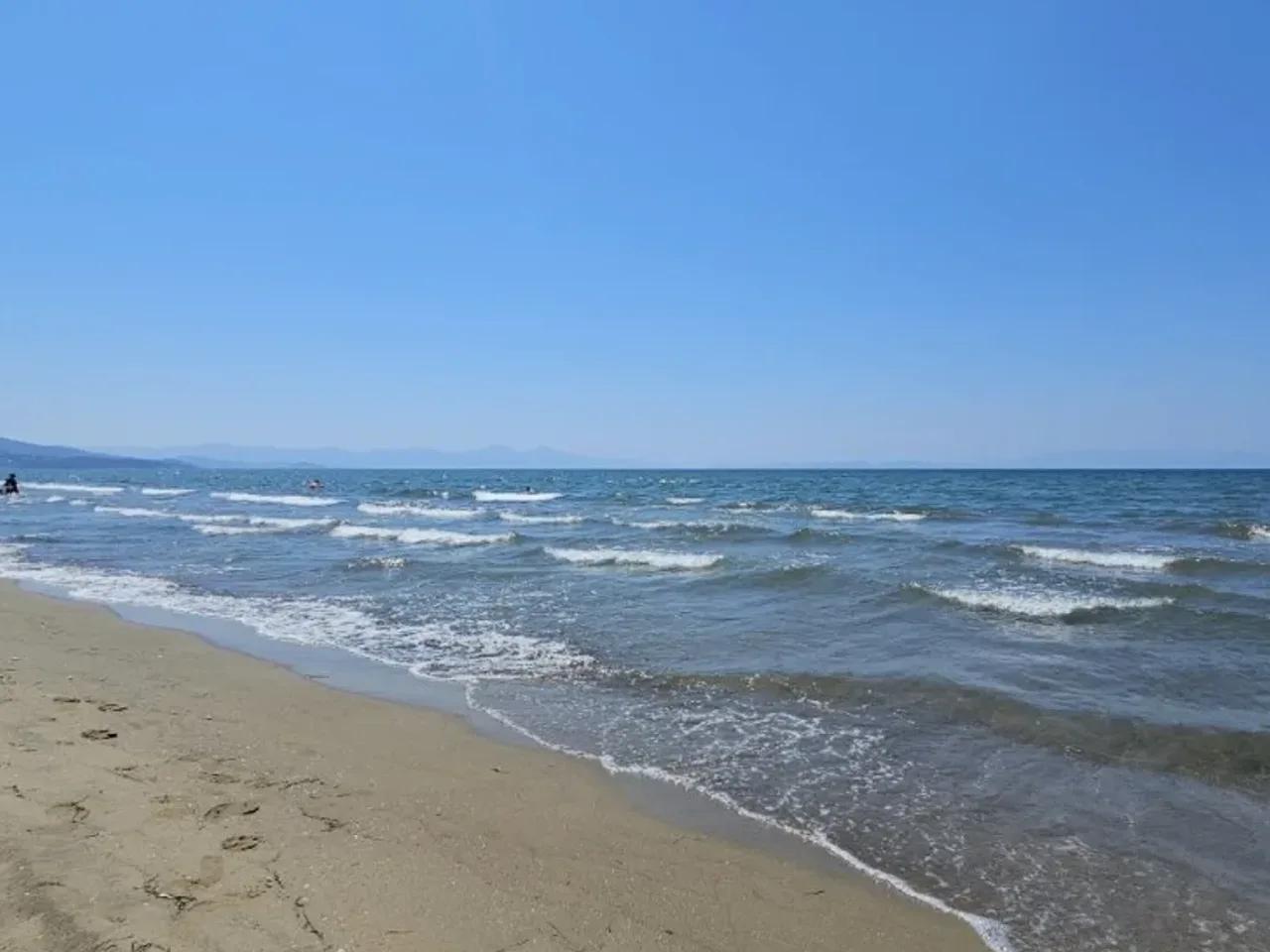 Selçuk - 3