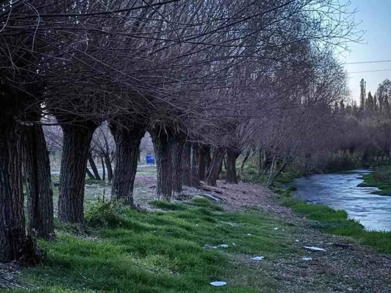 Selime - 3