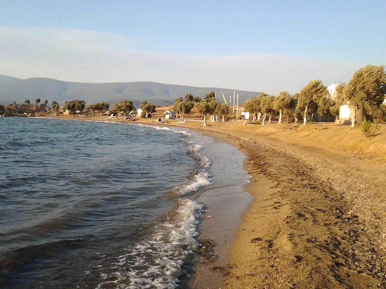 Semiramis Koyu Plajı
