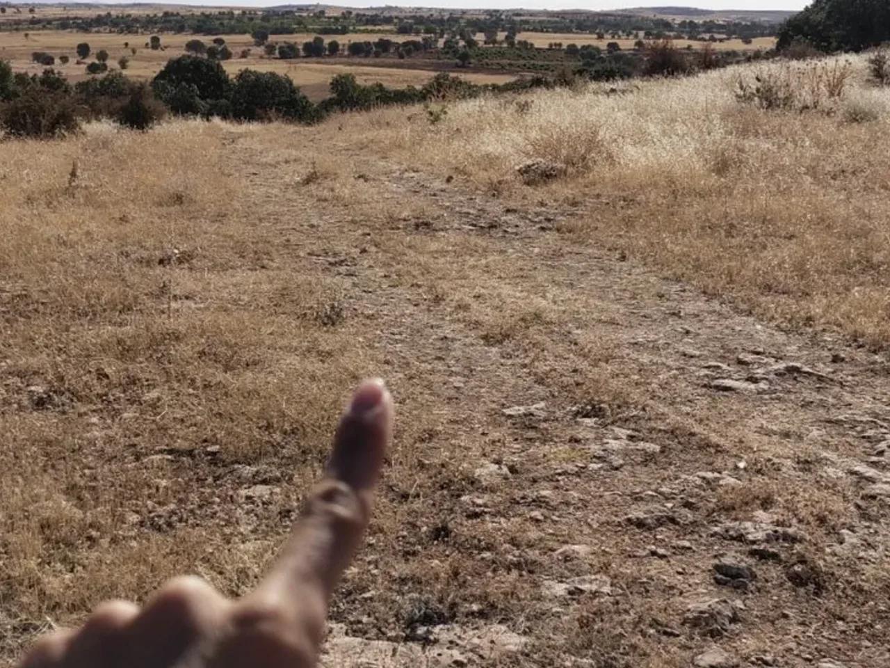 Şenköy, - 1