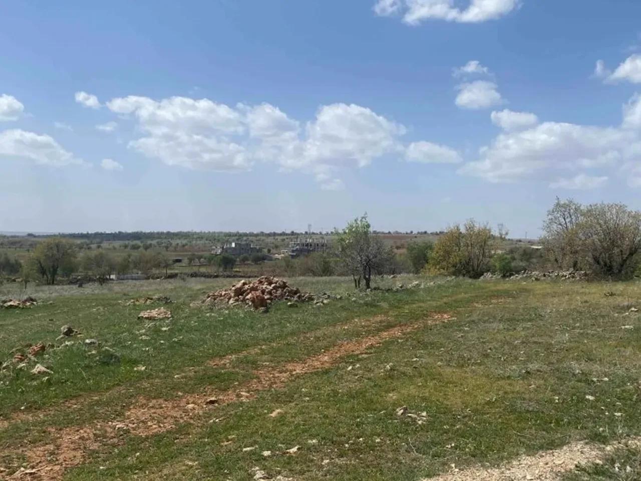 Şenköy, - 1