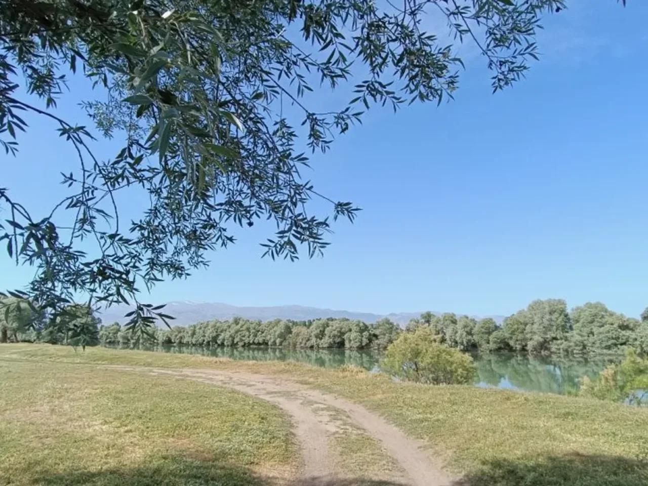 Şenoba - 2