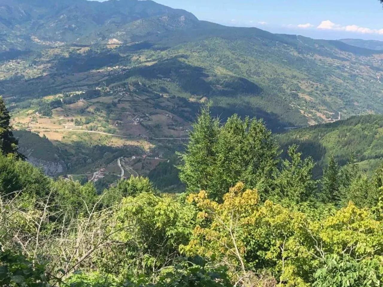 Şenpazar,Pınarbaşı Şenpazar Yolu - 2