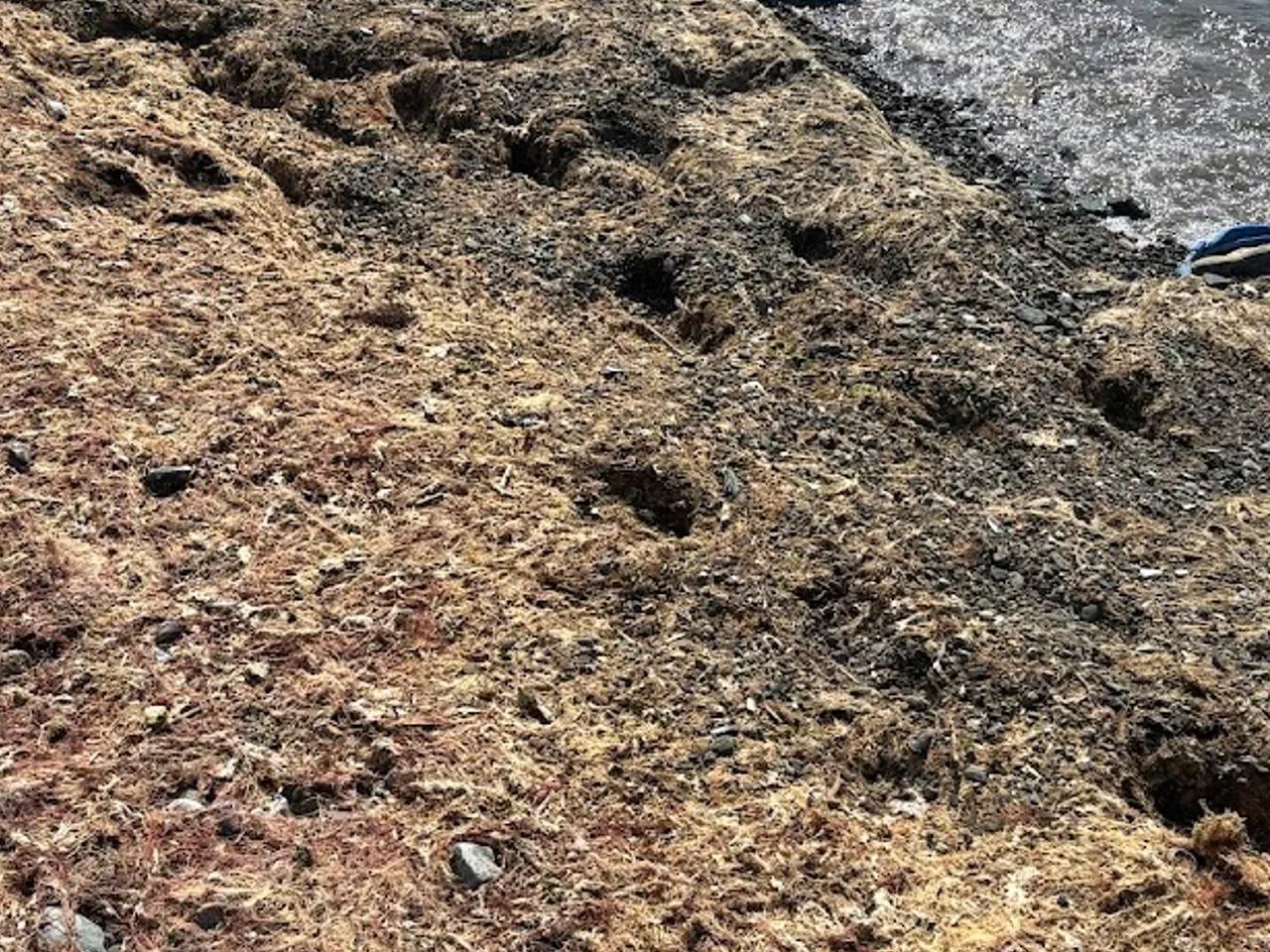 Selander Çamlıbel Kadınlar Plajı - 2