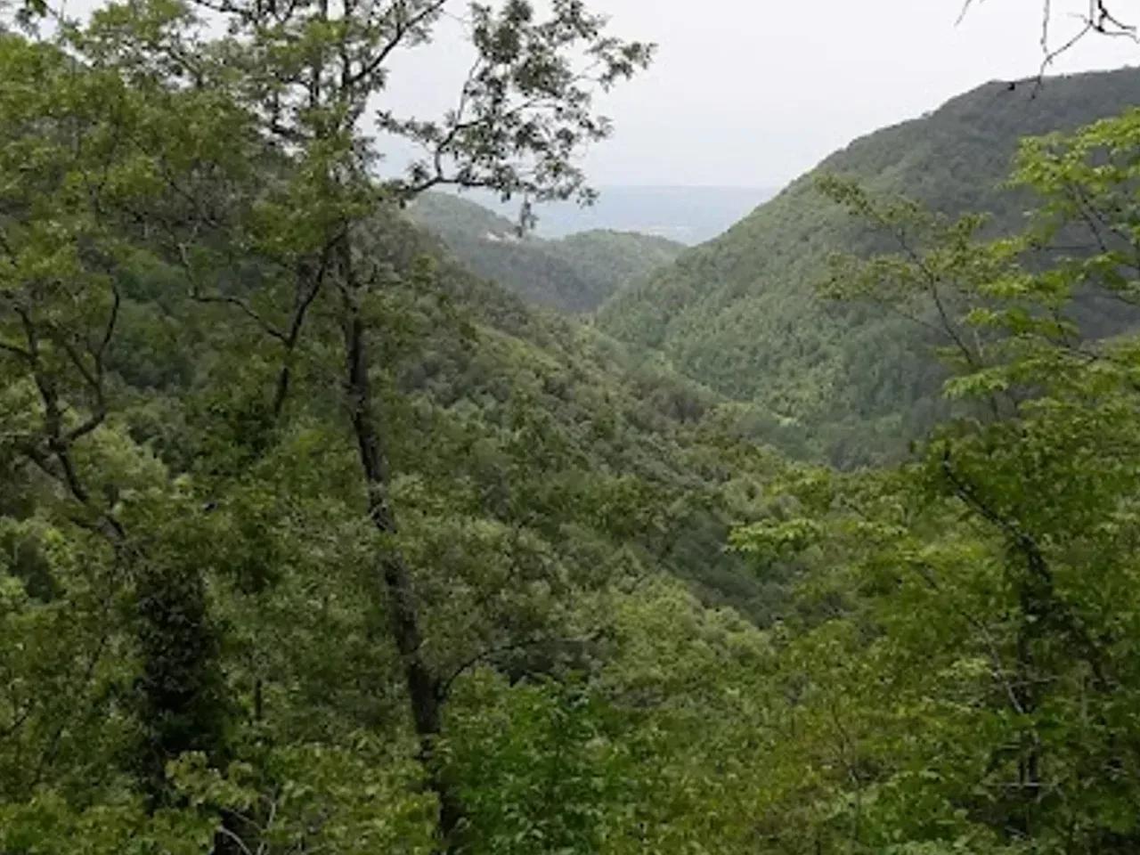 Seydıhan Yaylası - 1