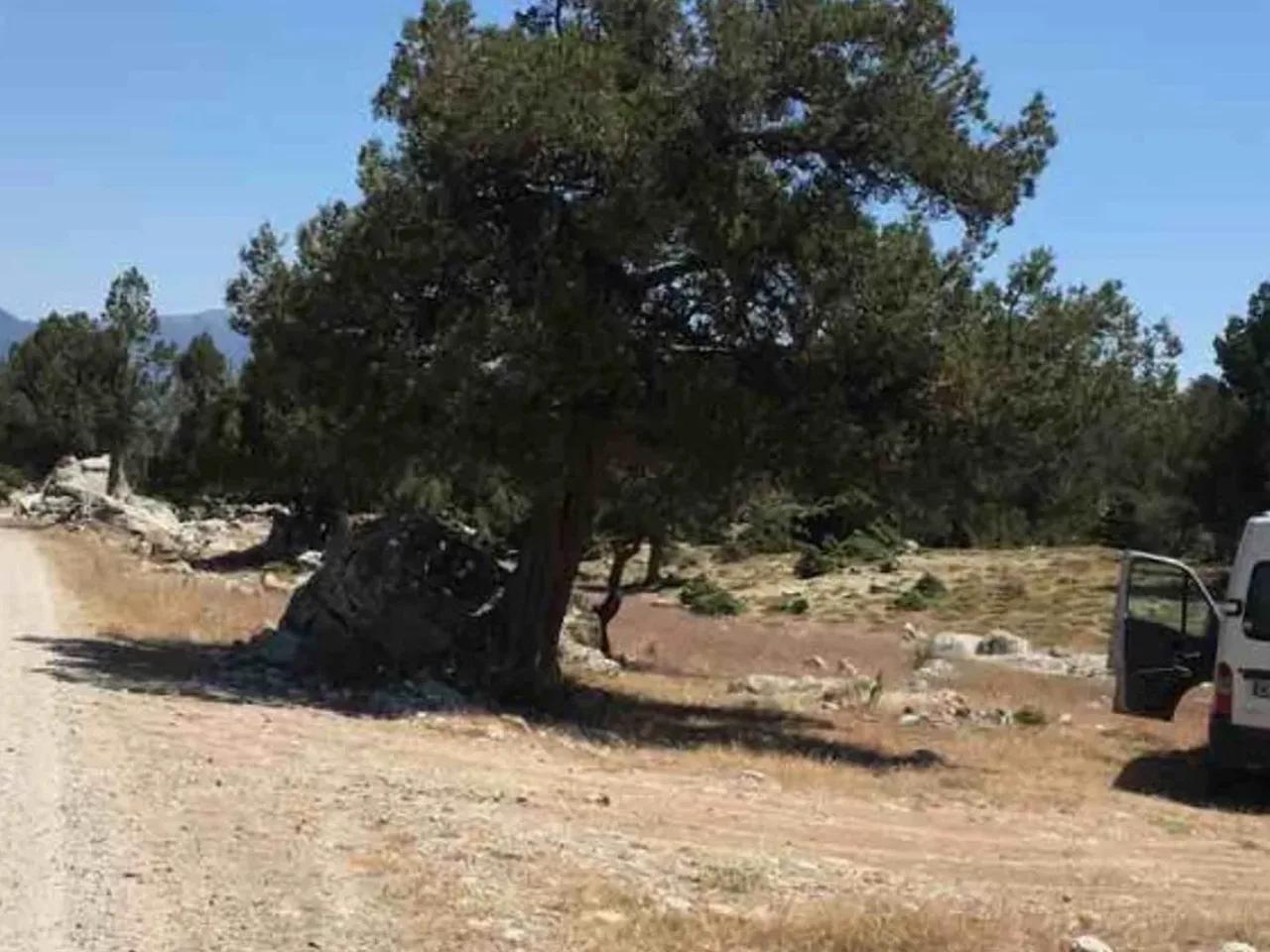Seydikemer/Muğla,Antalya Fethiye Yolu - 3