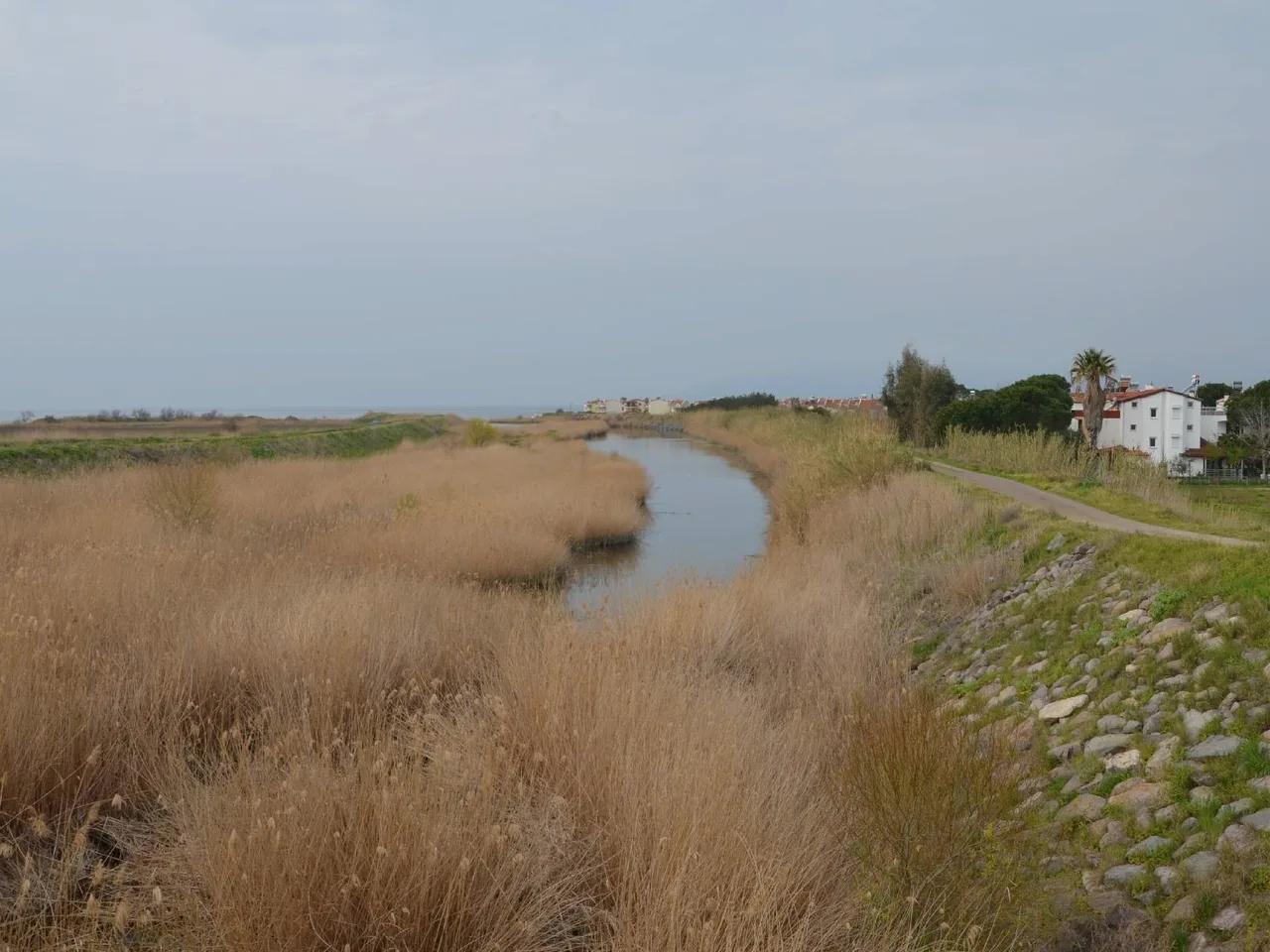 Şeytansofrası Sulak Alanı - 3