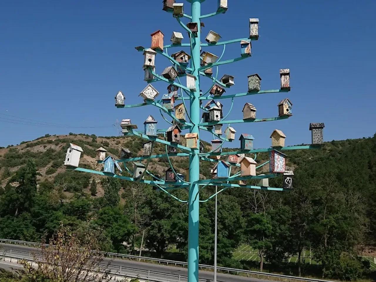 Sıklık Tabiat Parkı - 3