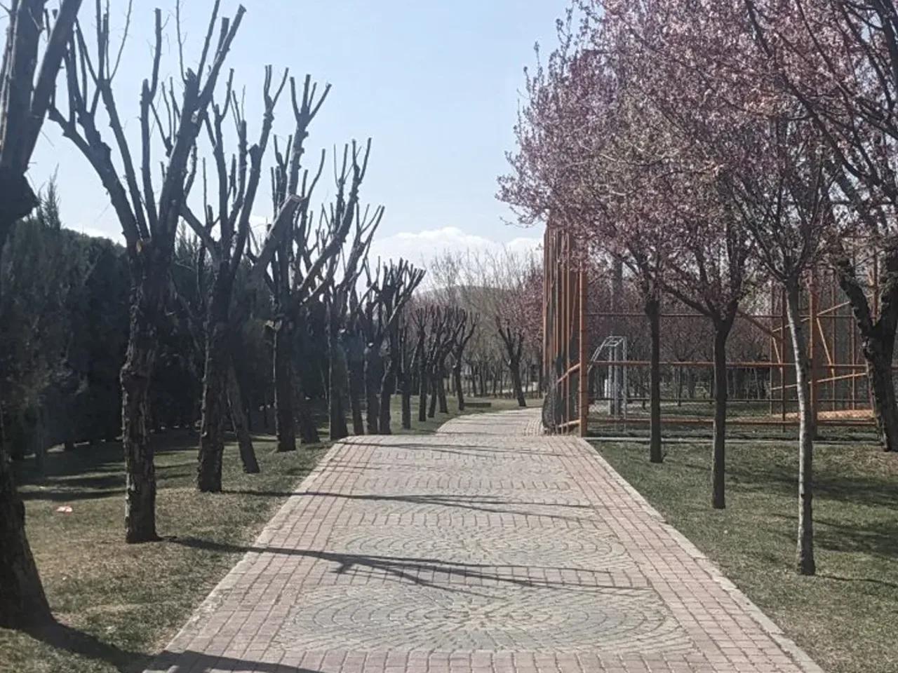 Sille Parsana, - 1