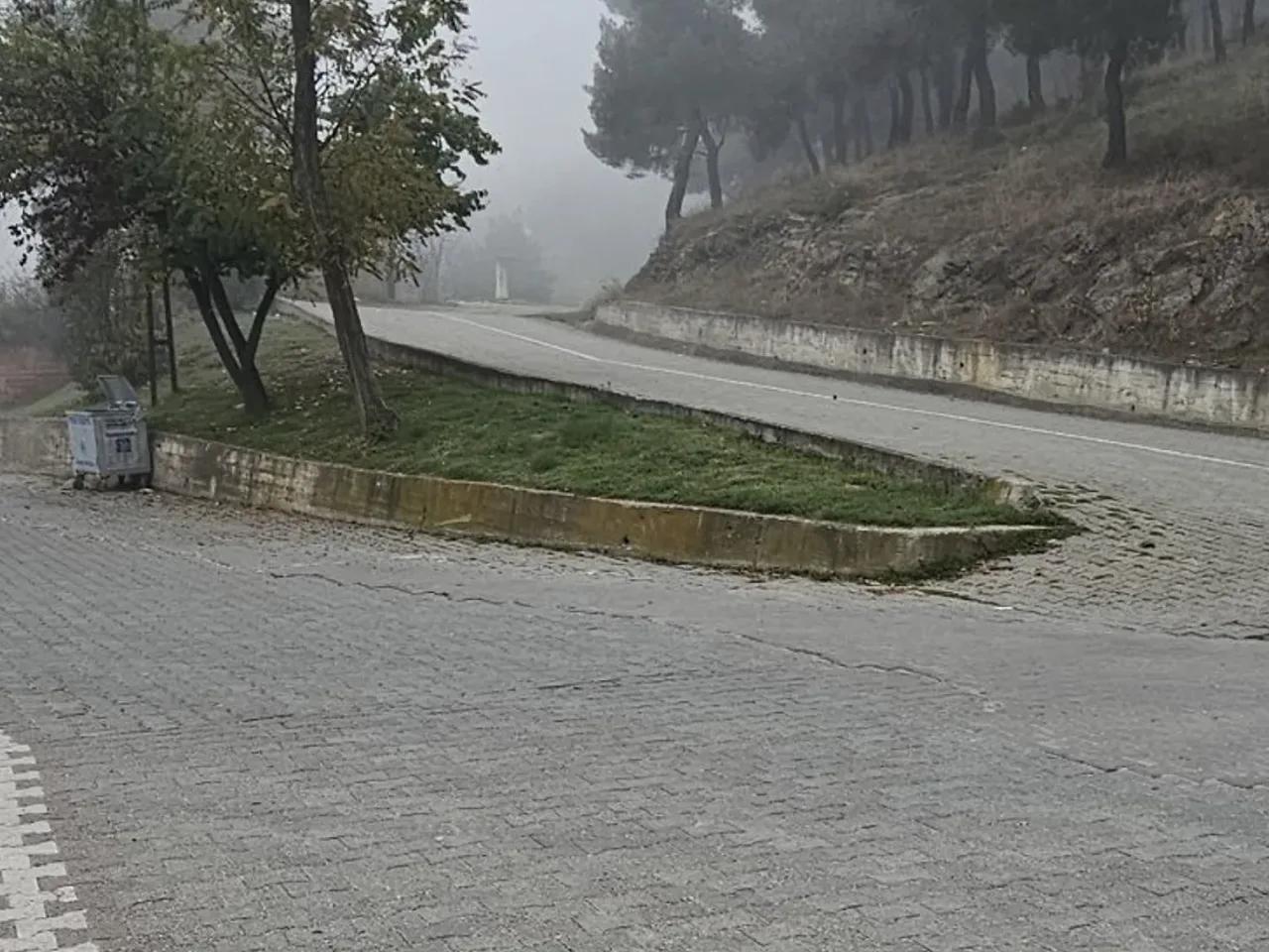 Sinop,24 Bekir Paşa Sokak - 2