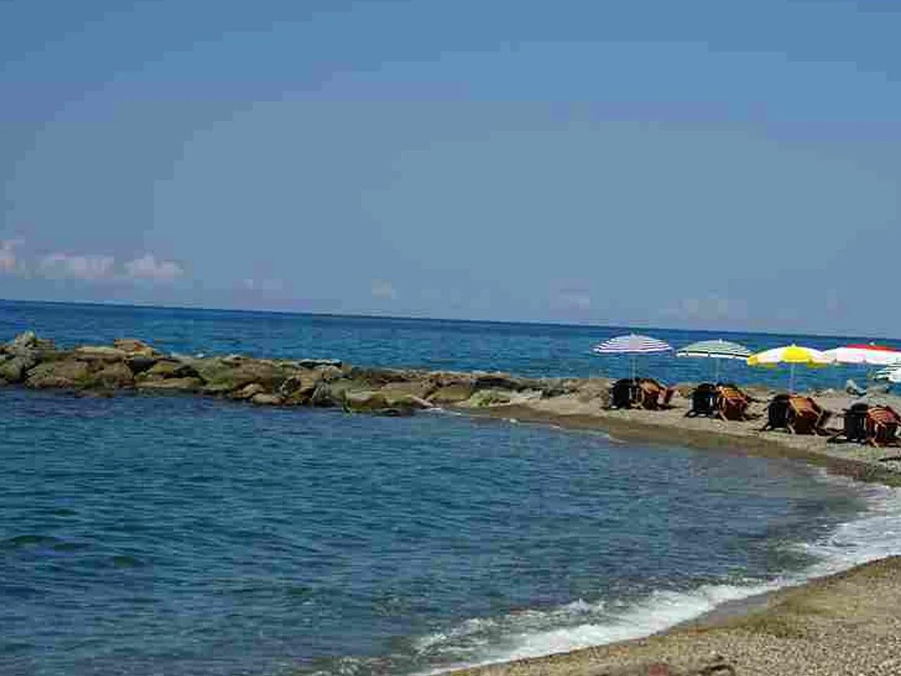 Soğukpınar Barınak Önü - 4
