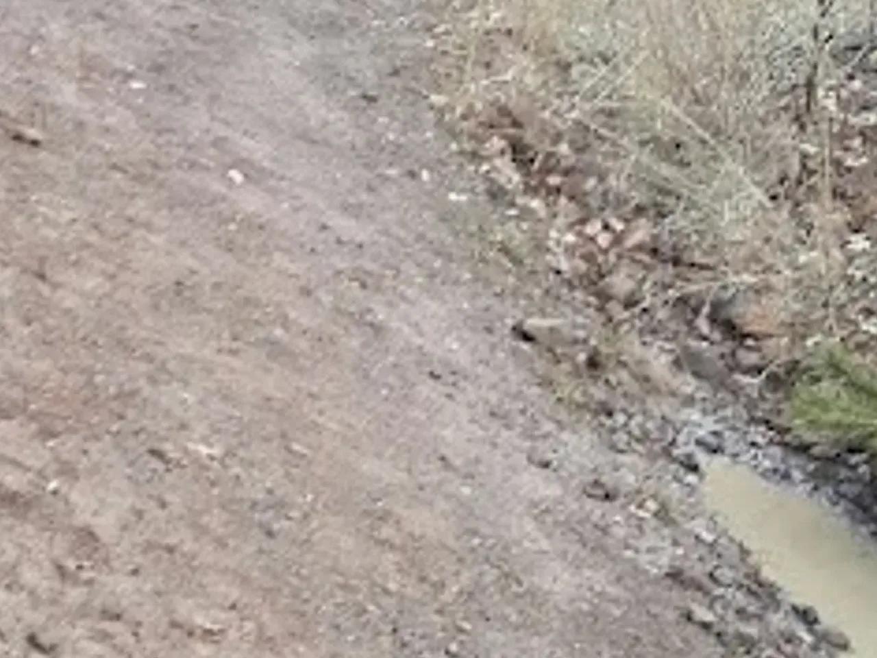 Soğuksu Milli Parkı - 2