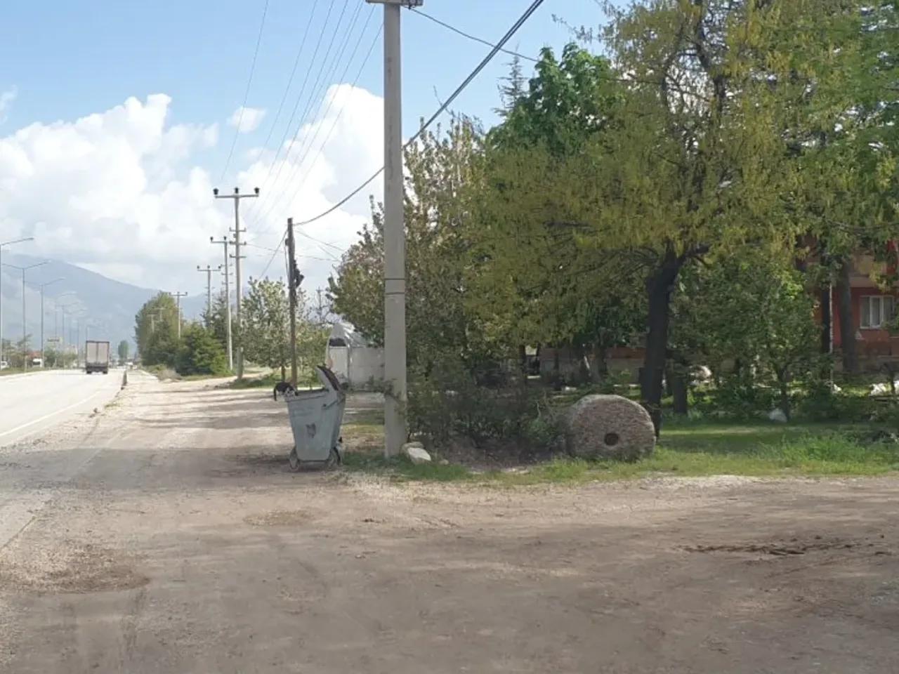 Söğüt,D330 - 2