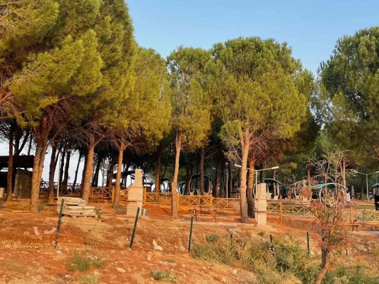 Soma,Sevişler Köyü İç Yolu - 2