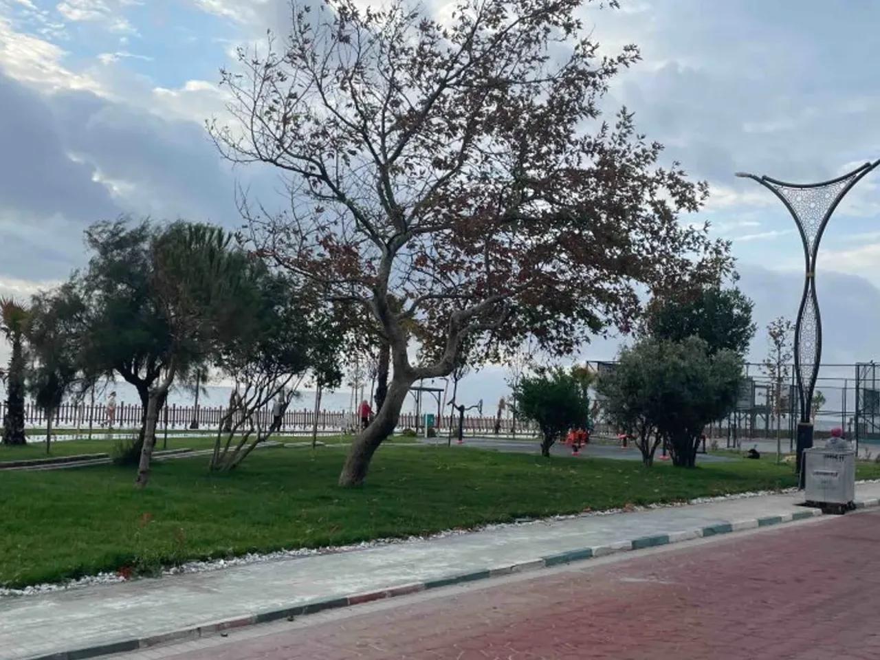 Süleymanpaşa/Tekirdağ,44 Tevfik Kış Sokak - 1
