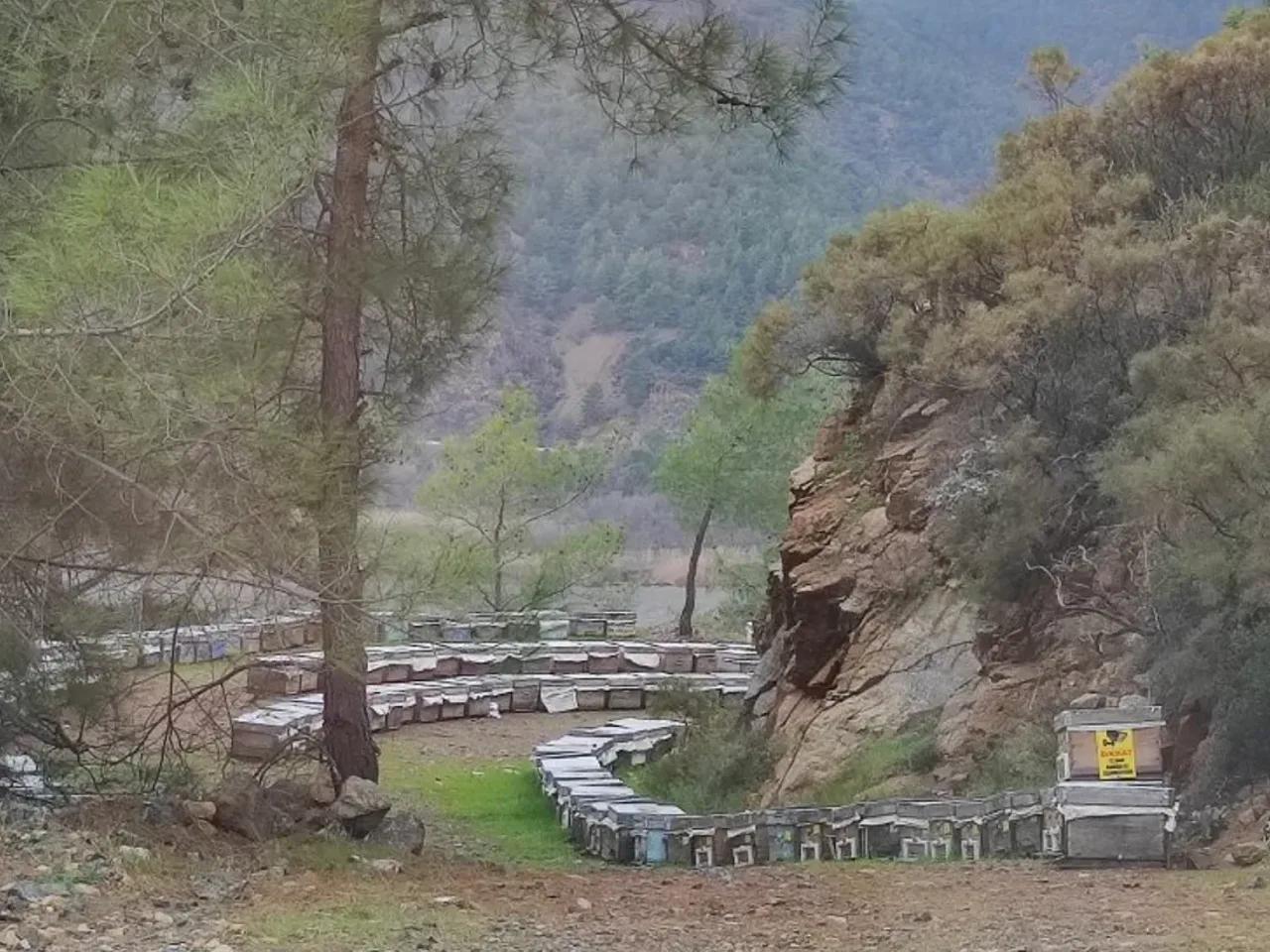 Sultaniye, Köyceğiz - 2