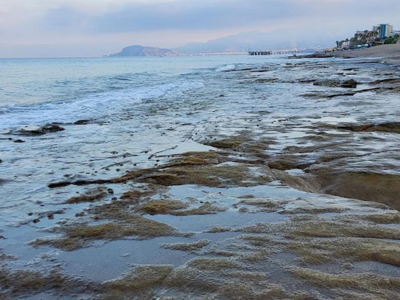 Summer Love Beach - 1