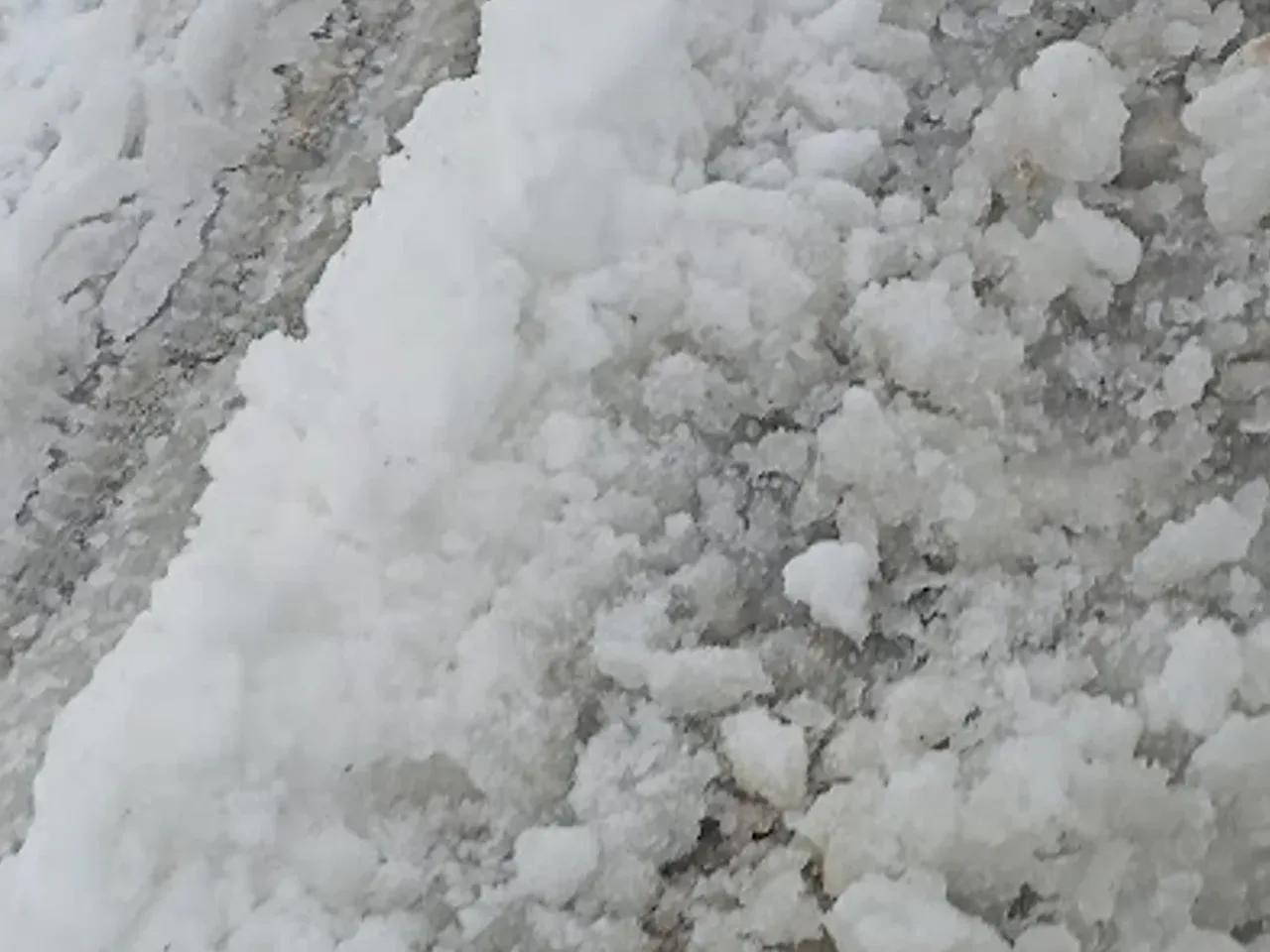 Süreyya Tabiat Parkı