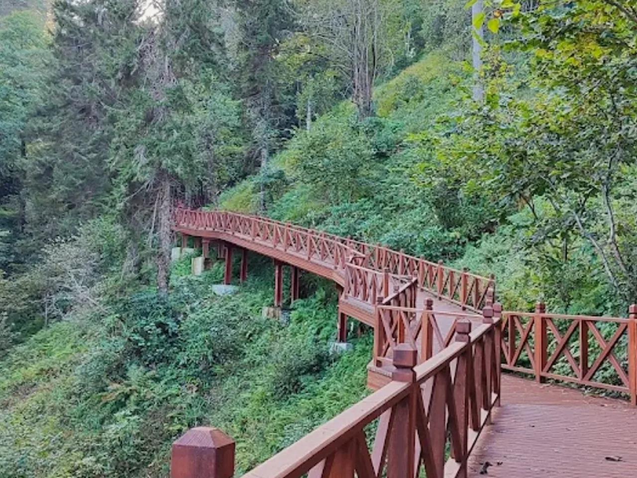 Sürmene Çamburnu Tabiat Parkı