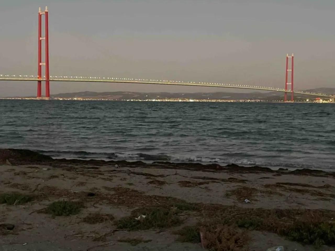 Sütlüce - 1