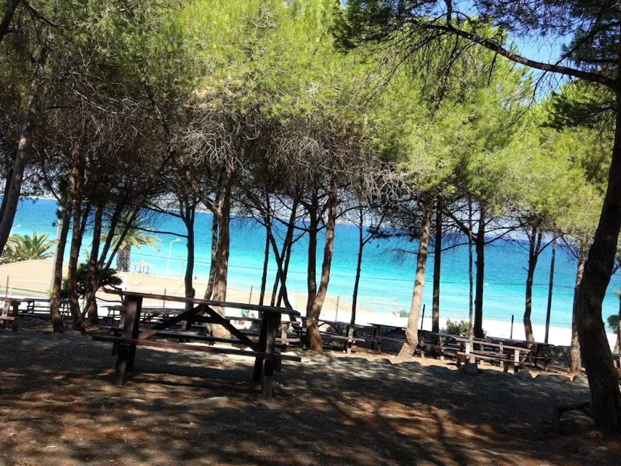 Tanay Tabiat Parkı