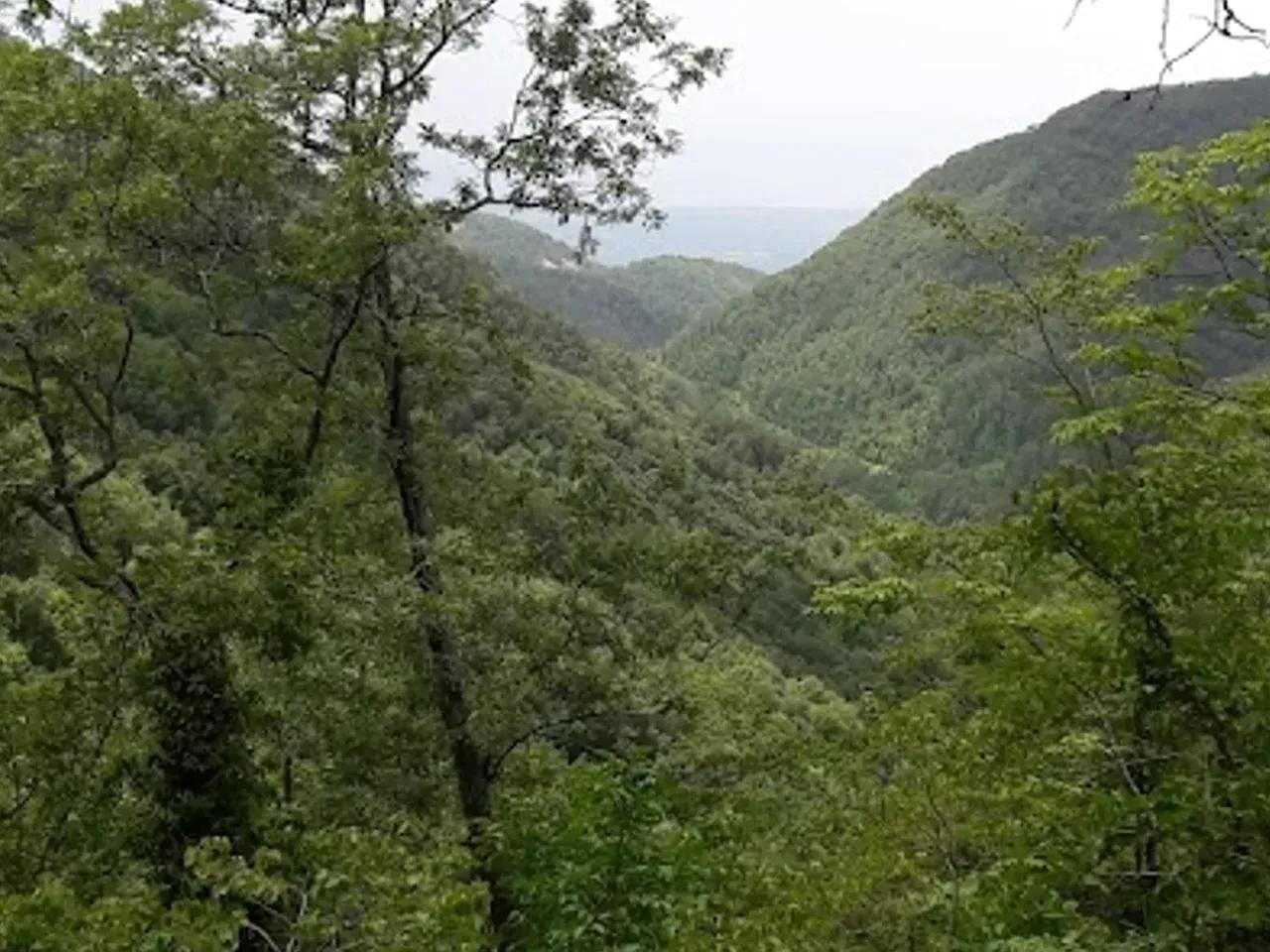 Tandır Yaylası