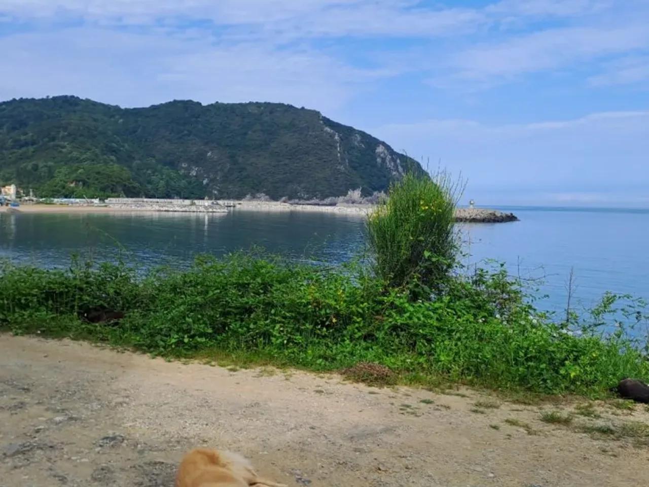 Tarlaağzı - 3