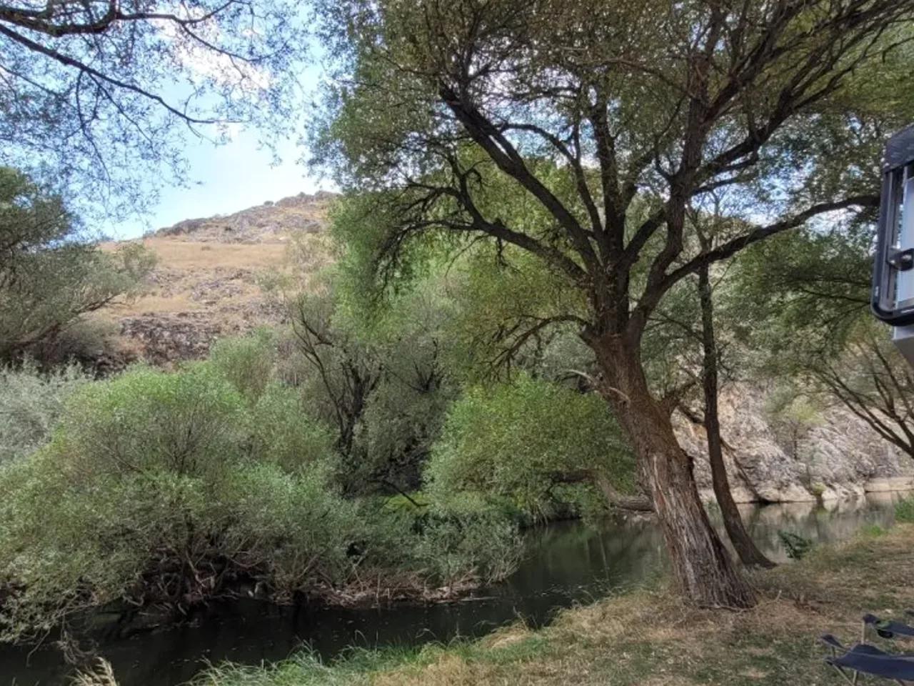 Taşcı, - 1