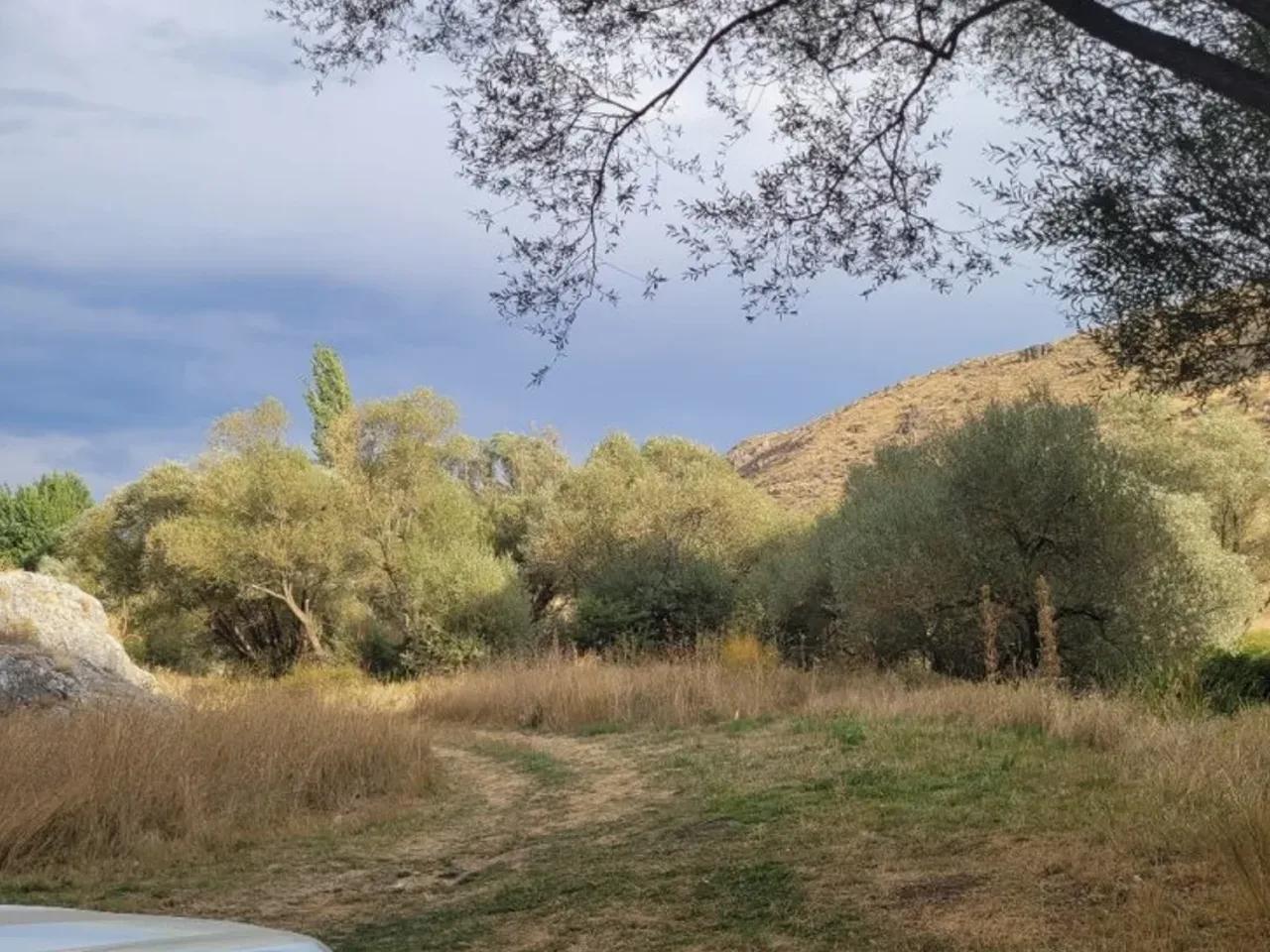 Taşcı, - 3
