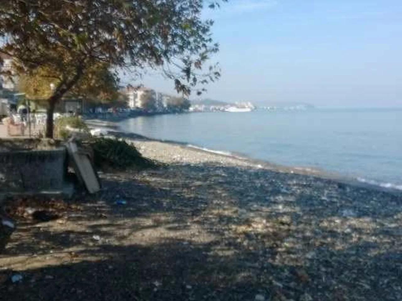 Taşlıman Mevkii Plajı - 2