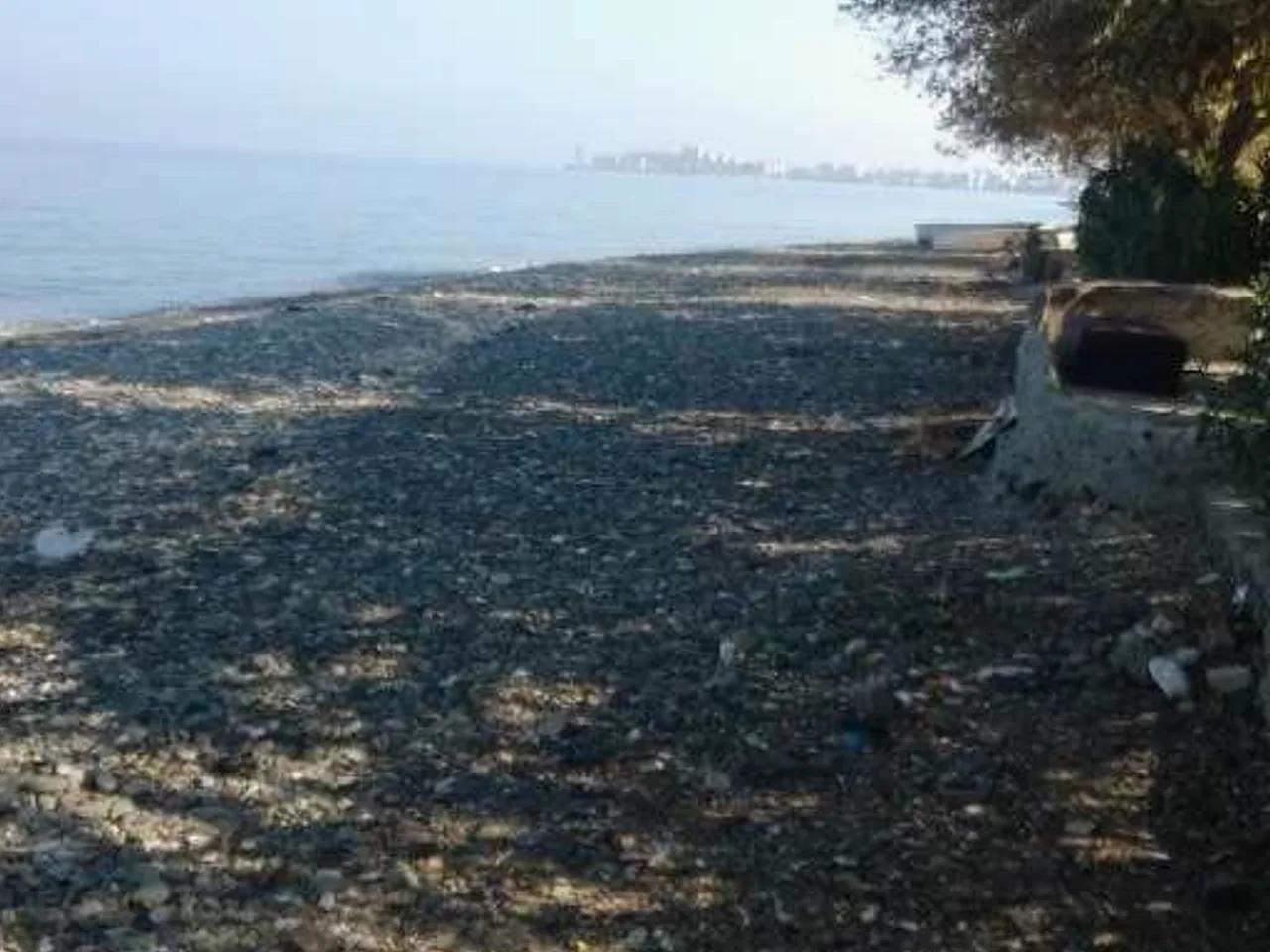 Taşlıman Mevkii Plajı - 3
