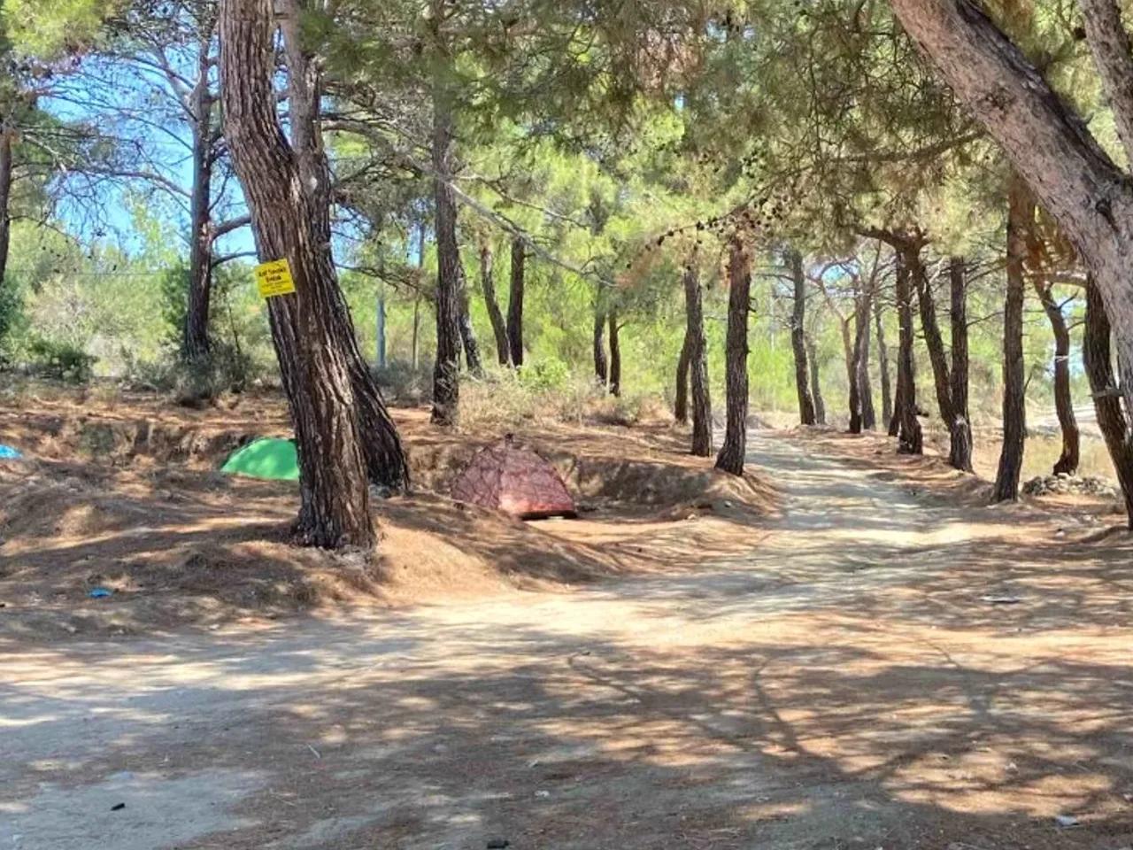 Tavaklı, - 2