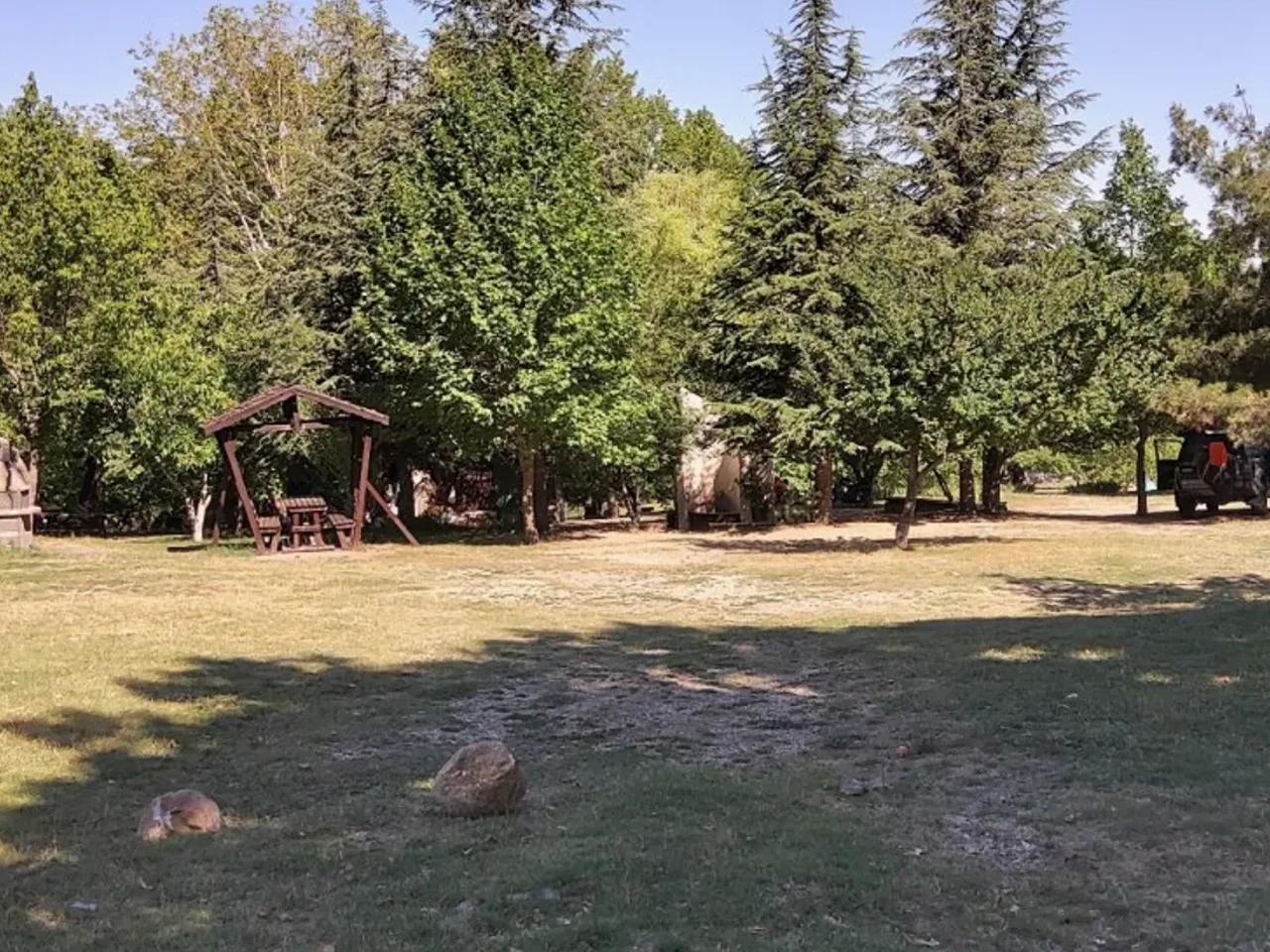 Tavas,Honaz Dağı Milli Parkı Yolu - 3